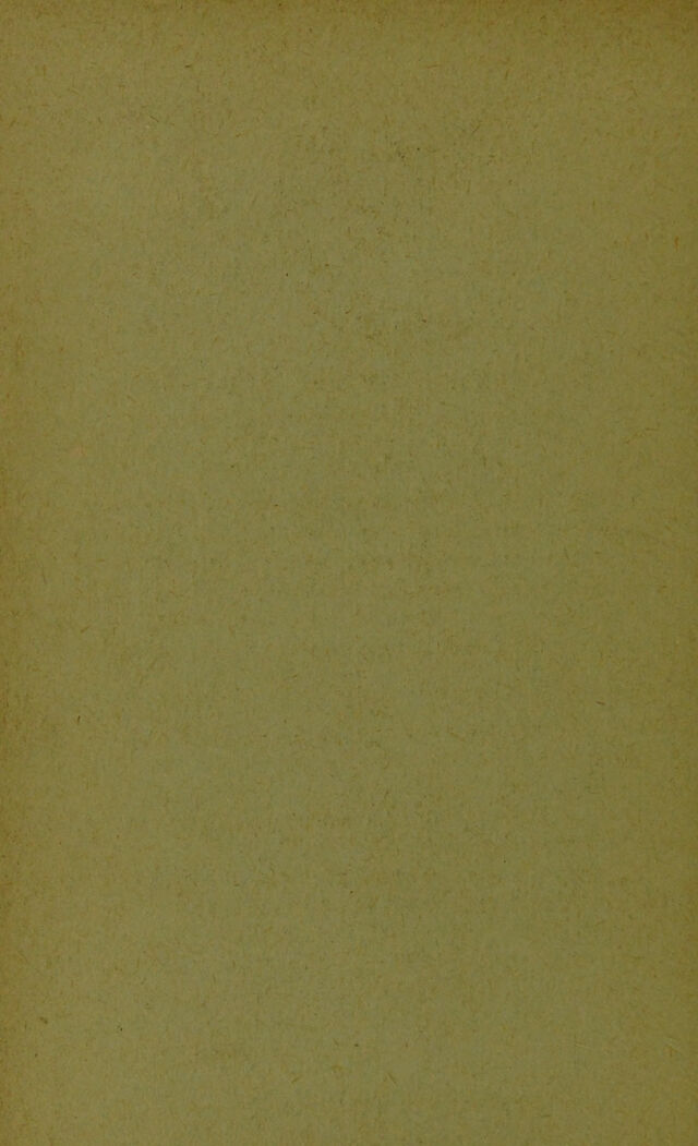 digitised image 2