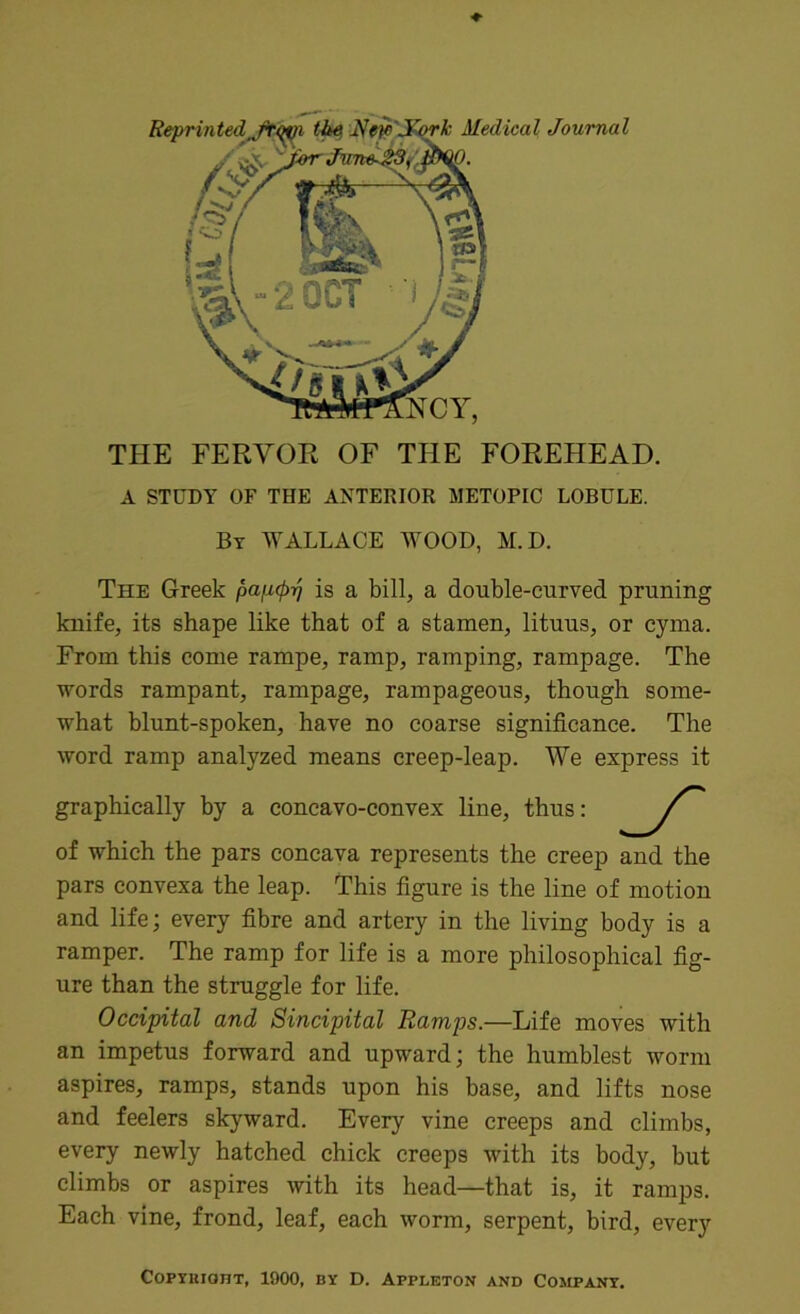 Reprinted frim the Nm'S^k Medical Journal THE FERVOR OF THE FOREHEAD. A STUDY OF THE ANTERIOR METOPIC LOBULE. By WALLACE WOOD, M.D. The Greek papcprj is a bill, a double-curved pruning knife, its shape like that of a stamen, lituus, or cyma. From this come rampe, ramp, ramping, rampage. The words rampant, rampage, rampageous, though some- what blunt-spoken, have no coarse significance. The word ramp analyzed means creep-leap. We express it of which the pars concava represents the creep and the pars convexa the leap. This figure is the line of motion and life; every fibre and artery in the living body is a ramper. The ramp for life is a more philosophical fig- ure than the struggle for life. Occipital and Sincipital Ramps.—Life moves with an impetus forward and upward; the humblest worm aspires, ramps, stands upon his base, and lifts nose and feelers skyward. Every vine creeps and climbs, every newly hatched chick creeps with its body, but climbs or aspires with its head—that is, it ramps. Each vine, frond, leaf, each worm, serpent, bird, every graphically by a concavo-convex line, thus: CoPYUioHT, 1900, BY D. Appleton and Company.