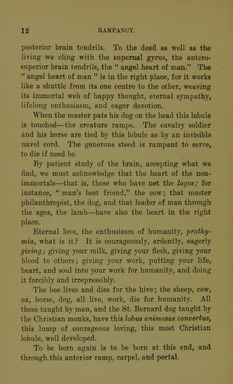 posterior brain tendrils. To the dead as well as the living we cling with the supernal gyrus, the ante'ro- superior brain tendrils, the “ angel heart of man.” The “ angel heart of man ” is in the right place, for it works like a shuttle from its one centre to the other, weaving its immortal web of happy thought, eternal sympathy, lifelong enthusiasm, and eager devotion. When the master pats his dog on the head this lobule is touched—the creature ramps. The cavalry soldier and his horse are tied by this lobule as by an invisible navel cord. The generous steed is rampant to serve, to die if need be. By patient study of the brain, accepting what we find, we must acknowledge that the heart of the non- immortals—that is, those who have not the logos; for instance, “ man’s best friend,” the cow; that master philanthropist, the dog, and that leader of man through the ages, the lamb—have also the heart in the right place. Eternal love, the enthusiasm of humanity, prothy- mia, what is it? It is courageously, ardently, eagerly giving; giving your milk, giving your flesh, giving your blood to others; giving your work, putting your life, heart, and soul into your work for humanity, and doing it forcibly and irrepressibly. The bee lives and dies for the hive; the sheep, cow, ox, horse, dog, all live, work, die for humanity. All these taught by man, and the St. Bernard dog taught by the Christian monks, have this lohus animosus convertus, this lump of courageous loving, this most Christian lobule, well developed. To be born again is to be born at this end, and through this anterior ramp, carpel, and portal.