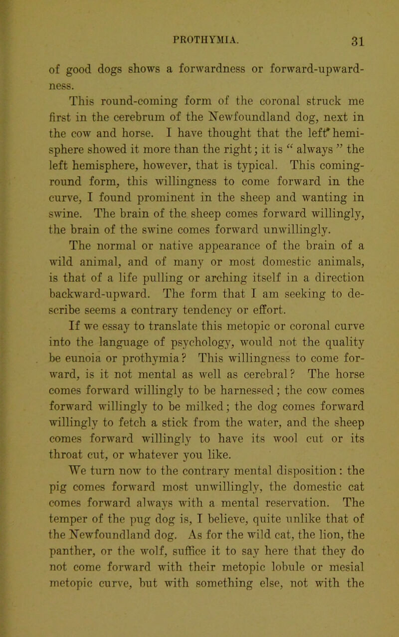 of good dogs shows a forwardness or forward-upward- ness. This round-coming form of the coronal struck me first in the cerebrum of the Newfoundland dog, next in the cow and horse. I have thought that the left* hemi- sphere showed it more than the right; it is “ always ” the left hemisphere, however, that is typical. This coming- round form, this willingness to come forward in the curve, I found prominent in the sheep and wanting in swine. The brain of the sheep comes forward willingly, the brain of the swine comes forward unwillingly. The normal or native appearance of the brain of a wild animal, and of many or most domestic animals, is that of a life pulling or arching itself in a direction backward-upward. The form that I am seeking to de- scribe seems a contrary tendency or effort. If we essay to translate this metopic or coronal curve into the language of psychology, would not the quality be eunoia or prothymia? This willingness to come for- ward, is it not mental as well as cerebral? The horse comes forward willingly to be harnessed; the cow comes forward willingly to be milked; the dog comes forward willingly to fetch a stick from the water, and the sheep comes forward willingly to have its wool cut or its throat cut, or whatever you like. We turn now to the contrary mental disposition: the pig comes forward most unwillingly, the domestic cat comes forward always with a mental reservation. The temper of the pug dog is, I believe, quite unlike that of the Newfoundland dog. As for the wild cat, the lion, the panther, or the wolf, suffice it to say here that they do not come forward with their metopic lobule or mesial metopic curve, but with something else, not with the