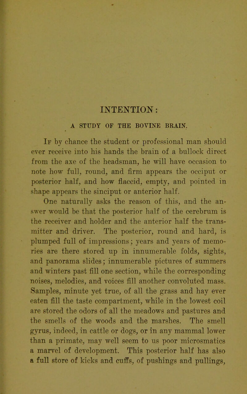 A STUDY OF THE BOVINE BRAIN. If by chance the student or professional man should ever receive into his hands the brain of a bullock direct from the axe of the headsman, he will have occasion to note how full, round, and firm appears the occiput or posterior half, and how flaccid, empty, and pointed in shape appears the sinciput or anterior half. One naturally asks the reason of this, and the an- swer would be that the posterior half of the cerebrum is the receiver and holder and the anterior half the trans- mitter and driver. The posterior, round and hard, is plumped full of impressions; years and years of memo- ries are there stored up in innumerable folds, sights, and panorama slides; innumerable pictures of summers and winters past fill one section, while the corresponding noises, melodies, and voices fill another convoluted mass. Samples, minute yet true, of all the grass and hay ever eaten fill the taste compartment, while in the lowest coil are stored the odors of all the meadows and pastures and the smells of the woods and the marshes. The smell gyrus, indeed, in cattle or dogs, or in any mammal lower than a primate, may well seem to us poor microsmatics a marvel of development. This posterior half has also a full store of kicks and cuffs, of pushings and pullings,