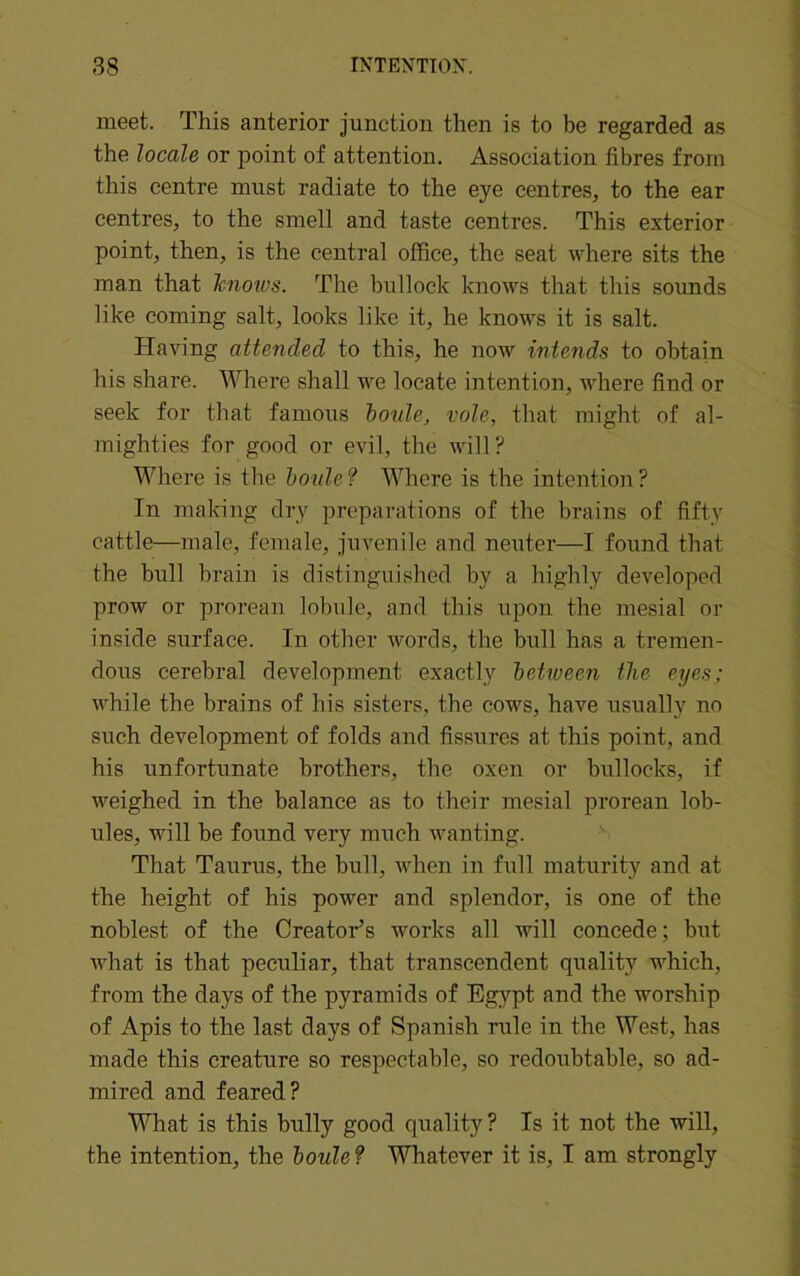 meet. This anterior junction then is to be regarded as the locale or point of attention. Association fibres from this centre must radiate to the eye centres, to the ear centres, to the smell and taste centres. This exterior point, then, is the central office, the seat where sits the man that knows. The bullock knows that this sounds like coming salt, looks like it, he knows it is salt. Having attended to this, he now intends to obtain his share. Where shall we locate intention, where find or seek for that famous horde, vole, that might of al- mighties for good or evil, the will? Where is the houle ? Where is the intention ? In making dry preparations of the brains of fifty cattle—male, female, juvenile and neuter—I found that the bull brain is distinguished by a highly developed prow or prorean lobule, and this upon the mesial or inside surface. In other words, the bull has a tremen- dous cerebral development exactly hetween the eyes; while the brains of his sisters, the cows, have usually no such development of folds and fissures at this point, and his unfortunate brothers, the oxen or bullocks, if weighed in the balance as to their mesial prorean lob- ules, will be found very much wanting. That Taurus, the bull, when in full maturity and at the height of his power and splendor, is one of the noblest of the Creator’s works all will concede; but what is that peculiar, that transcendent quality which, from the days of the pyramids of Egypt and the worship of Apis to the last days of Spanish rule in the West, has made this creature so respectable, so redoubtable, so ad- mired and feared? What is this bully good quality ? Is it not the will, the intention, the houle ? Whatever it is, I am strongly