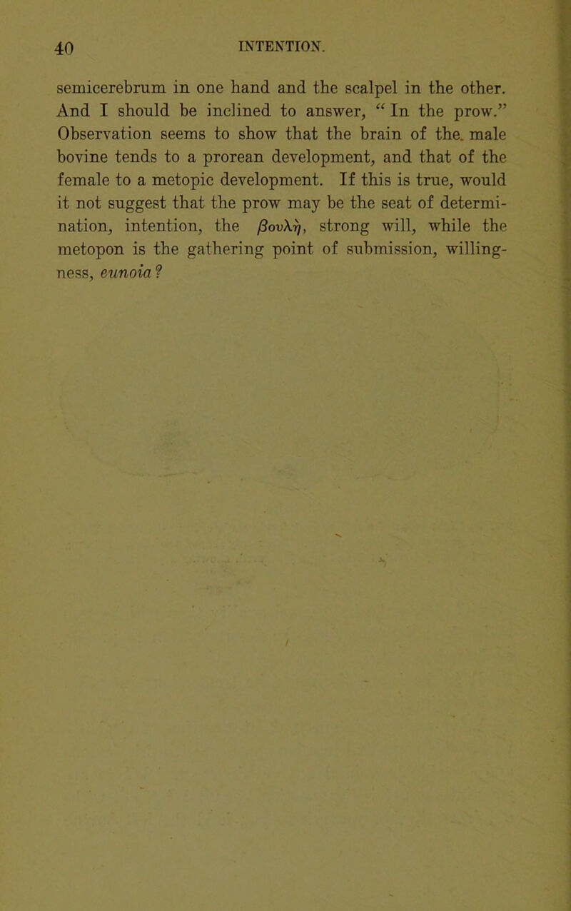 semicerebrum in one hand and the scalpel in the other. And I should be inclined to answer, “ In the prow.” Observation seems to show that the brain of the. male bovine tends to a prorean development, and that of the female to a metopic development. If this is true, would it not suggest that the prow may be the seat of determi- nation, intention, the /3ovXrj, strong will, while the metopon is the gathering point of submission, willing- ness, etmoia ?