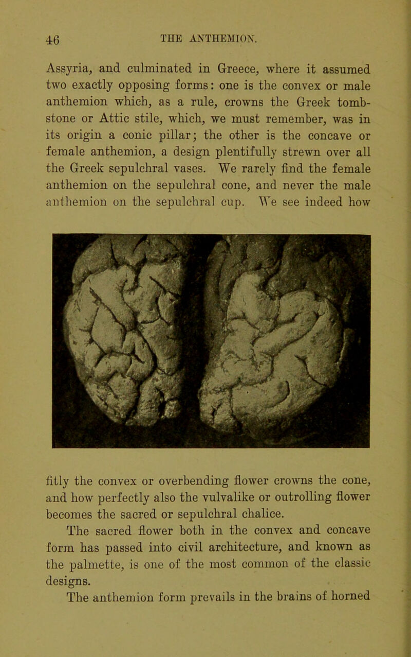 Assyria, and culminated in Greece, where it assumed two exactly opposing forms: one is the convex or male anthemion which, as a rule, crowns the Greek tomb- stone or Attic stile, which, we must remember, was in its origin a conic pillar; the other is the concave or female anthemion, a design plentifully strewn over all the Greek sepulchral vases. We rarely find the female anthemion on the sepulchral cone, and never the male anthemion on the sepulchral cup. We see indeed how fitly the convex or overbending flower crowns the cone, and how perfectly also the vulvalike or outrolling flower becomes the sacred or sepulchral chalice. The sacred flower both in the convex and concave form has passed into civil architecture, and known as the palmette, is one of the most common of the classic designs. The anthemion form prevails in the brains of horned
