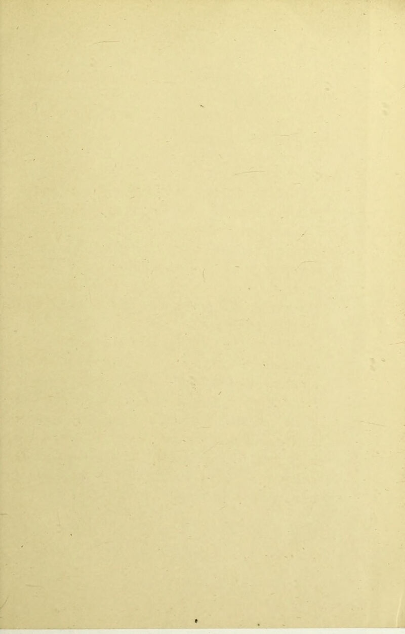 •W-; ,• K -• *. i .'Vt ( -\ ■ ' .vi i^'-' ~i »'l'i Vv % ■r / •• Y • ,J t » ' - i! ■j'vt' t : -m • .W' - ' '. 1* ' i V