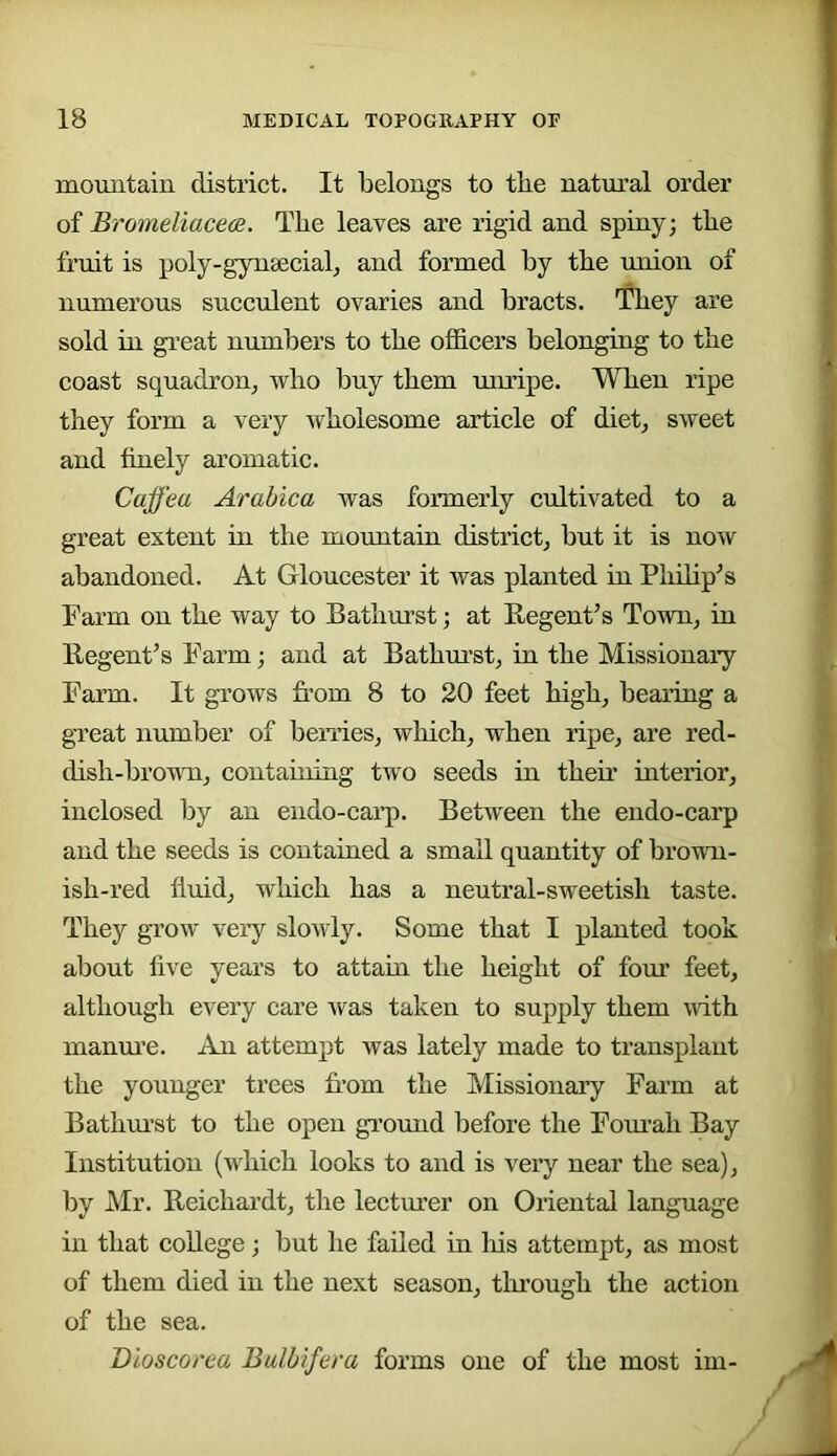mountain district. It belongs to the natural order of Bromeliaceoe. The leaves are rigid and spiny; the fruit is poly-gynsecialj and formed by the union of numerous sueculent ovaries and bracts. They are sold in gi’eat numbers to the officers belonging to the coast squadron^ who buy them uimipe. When ripe they form a very wholesome article of diet^ sweet and finely aromatic. Caffea Arabica was formerly cultivated to a great extent in the mountain district; but it is now abandoned. At Gloucester it was planted in Plidip^s Farm on the way to Bathm’st; at Regent’s Town, in Regent’s Farm; and at Bathui’st; in the Missionary Farm. It grows from 8 to 20 feet high; beai’ing a great number of bemeS; which; when ripe; are red- dish-broMTi; containing two seeds in their interior; inclosed by an endo-carp. Between the endo-carp and the seeds is contained a small quantity of brown- ish-red fluid; which has a neutral-sweetish taste. They grow veiy slowly. Some that I planted took about five years to attain the height of four feet; although every care was taken to supply them with manui’e. An attempt was lately made to transplant the younger trees fr’om the Missionary Farm at Bathm’st to the open ground before the Fom’ah Bay Institution (which looks to and is very near the sea); by Mr. Reichardt; the lectm’er on Oriental language in that college; but he failed in liis attempt; as most of them died in the next season; tlu’ough the action of the sea. Dloscorea Bulbifera forms one of the most im-