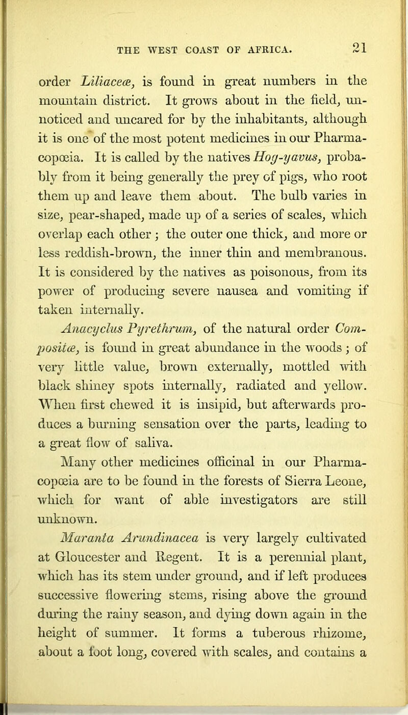 order Liliacece, is found in great numbers in the mountain district. It gi’ows about in the field, un- noticed and nncared for by the inhabitants, although it is one of the most potent medicines in our Pharma- copoeia. It is called by the natives Hog-yavus, proba- bly from it being generally the prey of pigs, who root them up and leave them about. The bulb varies in size, pear-shaped, made up of a series of scales, which overlap each other ; the outer one thick, and more or less reddish-brown, the inner thin and membranous. It is considered by the natives as poisonous, from its power of producing severe nausea and vomiting if taken internally. Anacyclus Pyrethrum, of the natural order Com- posiice, is found in great abundance in the woods ; of very little value, brown externally, mottled with black shiney spots internally, radiated and yellow. When first chewed it is insipid, but afterwards pro- duces a binning sensation over the parts, leading to a great flow of saliva. Many other medicines oificinal in our Pharma- copoeia are to be found in the forests of Sierra Leone, which for want of able investigators are still miknown. Maranta Arundinacea is very largely cultivated at Gloucester and Pegent. It is a perennial plant, which has its stem under ground, and if left produces successive flowering stems, rising above the gi’ound dming the rainy season, and d3dng doivn again m the height of summer. It forms a tuberous rhizome, about a foot long, covered with scales, and contains a