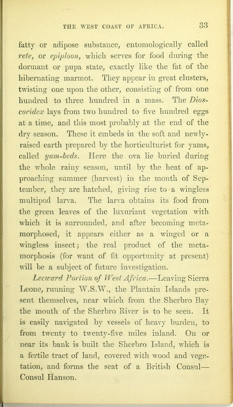 fatty or adipose substance, entomologically called rete, or epiploon, wuicb serves for food during tlie dormant or pupa state, exactly like tlie fat of the hibernating marmot. They appear in great clusters, twisting one upon the other, consisting of from one hundred to three hundred in a mass. The Bios- coridex lays from two hundred to five hundred eggs at a time, and this most probably at the end of the dry season. These it embeds in the soft and newly- raised earth prepared by the horticulturist for yams, called yam-beds. Here the ova lie buried during the whole rainy season, until by the heat of ap- proaching summer (harvest) in the month of Sep- tember, they are hatched, giving rise to a ivingless multiped larva. The larva obtains its food from the green leaves of the luxuriant vegetation with which it is surrounded, and after becoming meta- morphosed, it appears either as a winged or a wingless insect; the real product of the meta- morphosis (for w^ant of fit opportunity at present) will be a suliject of futm’e investigation. Leeward Portion of West Africa.—Leaving Sierra Leone, running W.S.W., the Plantain Islands pre- sent themselves, near which from the Sherbro Bay the mouth of the Sherbro Eiver is to be seen. It is easily navigated by vessels of heavy bm’den, to fr’om tv/enty to tw^enty-five miles inland. On or near its bank is built the Sherbro Island, wliich is a fertile tract of land, covered with wood and vege- tation, and forms the seat of a British Consul— Consul Hanson.