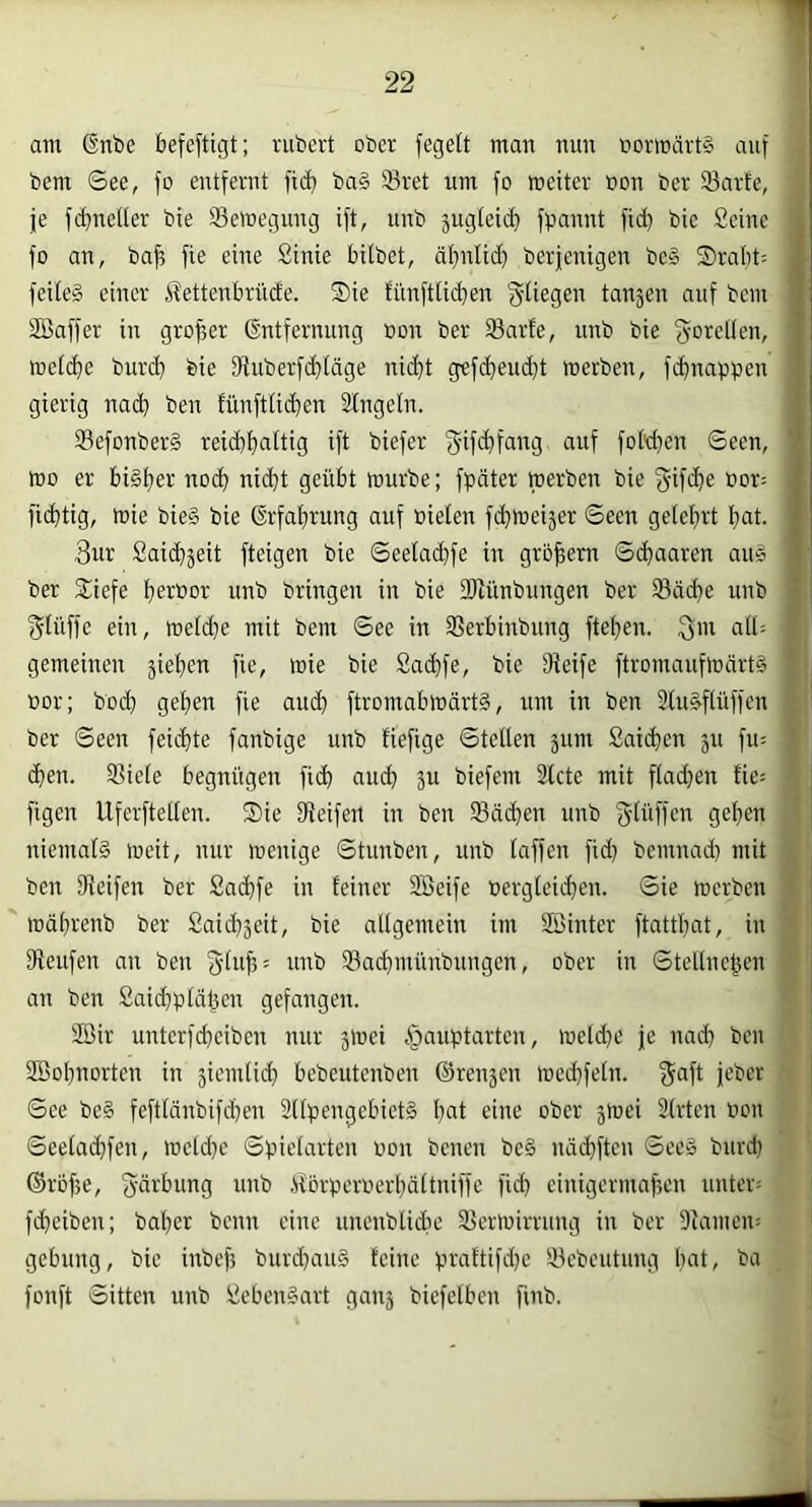 am ßnbe befeftigt; rubert ober fegelt man nun öormärt§ auf , bem See, fo entfernt fic^ ba§ 93ret um fo meiter non ber 93arfe, 1 je fcbnetter bie Semegung ift, unb äugteid) fpannt fidj bie Seine fo an, baff fie eine Sinie bilbet, ä^nlid) berjenigen be§ 2)rabt= feile§ einer ^ettenbrüde. S)ie fiinftlid)en fliegen tanjen auf bem Söaffer in großer Entfernung oon ber Sarfe, unb bie fyoreüen, me(cf)e burcb bie fRuberfd)täge nic^t gefc^eud}t merben, fc^nappen gierig nach ben fünfttic^en Singeln. Sefonberg reicbfialtig ift biefer gifdifang auf foM)en Seen, mo er bi§l)er nod) nidt geübt mürbe; fpäter toerben bie bor= fidtig, mie bie§ bie Erfal)rung auf oielen fdmeijer Seen gelel)rt l)at. 3ur Saidjeit fteigen bie Seeladfe in großem Sd^mren au§ ber 2:iefe b^rbor unb bringen in bie fOiünbungen ber 93äde unb ^lüffe ein, melde mit bem See in Si?erbinbung fte^en. 3ui alt; gemeinen jieben fie, mie bie Sadfe, bie fHeife ftromaufmärtS bor; bod} geben fie aud ftromabmärt^, um in ben Slu§ftüffcn ber Seen feidte fanbige unb fiefige Steden äum Saiden ju fu= den. 3?ie(e begnügen fid uud 3U biefem Siete mit fladjen fie= ftgen Uferfteden. ®ie Sleifeil in ben Süden unb f^^uffen geben j niemals meit, nur menige Stunben, unb taffen fid) bemnad) mit ■' ben Seifen ber Sadfe in feiner Söeife bergteiden. Sie merben I mdbrenb ber Said)5eit, bie adgemein im SBinter ftattbat, in S Seufen an ben (5'tub= unb Sad}münbungen, ober in Stedneben I an ben Saidpläben gefangen. * Söir unterfd}eiben nur jmei ^auptarten, metd)e je nad ben , SBobnorten in siemtid) bebeutenben ®ren5en med)feln. jeber > See beS feftlänbifdjen SllpengcbietS bnt eine ober jmei Slrtcn bon Seetadfen, melde Spielarten bon benen be§ nädften SeeS biird) i ©rof5e, fffdrbung unb .llorperberbältniffe fid) einigermaßen unter; i fd)eiben; baber beim eine unenbtid)e Sermirrung in ber Slamcu; * gebung, bie inbef) burdauS feine praftifd)e Sebeutung l)ut, ba fonft Sitten unb SebenSart gau5 biefelbcn finb. ^
