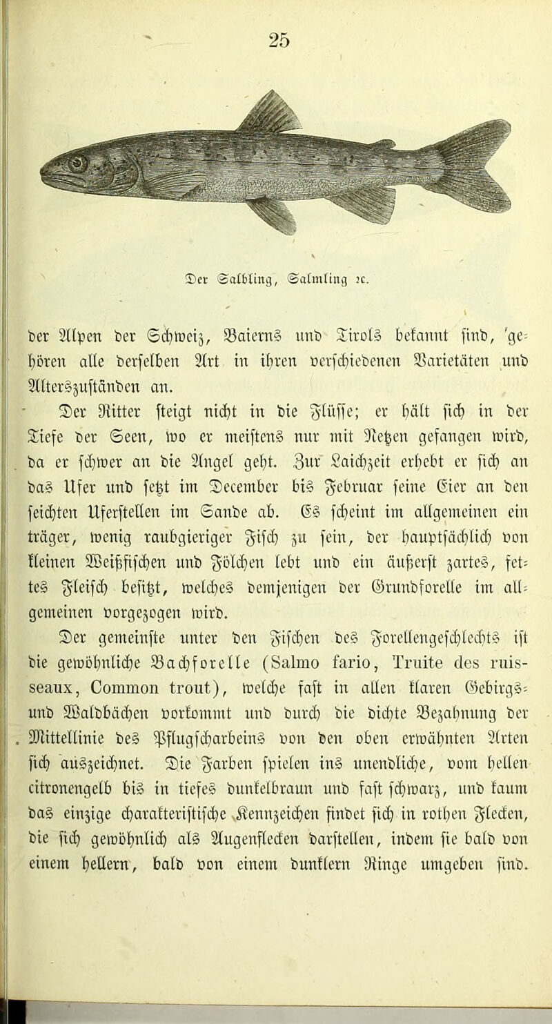 Uct ®a(6ting, ©afmJiitg 2c. ber stiften ber Sc^Wetj, Satevn§ unb Tirols befanut ftnb, 'ge= I}oren alle berfetben 2trt in ihren üevid}iebencn 33arietäten unb I 2Uter§juftänbcn an. j| ■ Ser Dritter fteigt nidht in bie S'iüffc; er hält fich in ber j Siefe ber ©een, luo er inei[ten§ nur mit 9cehen gefangen wirb, |i, ba er fehler an bie Stngel geht. 3itr Saichjeit erhebt er fi(^ an i! ba§ Ufer unb fe^t im Secember bi§ f^ebruar feine ßier au beu fi fei(hten Uferftellen im ©anbe ab. fcheint im aligemeinen ein ( träger, menig raubgieriger 'gifd) 311 fein, ber haut3tfäd}tid) bon 'j fteinen SBeihfifchen unb Reichen lebt unb ein nnherft jarteS, fet^ I te§ befigt, met($e§ bemjenigen ber ©runbforelte im al5 gemeinen borgejogen mirb. Ser gemeinfte unter ben gifdien be§ f^DretlengefchIed}t§ ift bie geibohnliche S3ad)fore(te (Salmo fario, Triiite des nüs- seaux, Common trout), metche faft in alten flaren öebirg§= ; i unb SlBalbbädhen borhommt nnb burd) bie bichte SBejahnung ber . DJiitteltinie be§ ?ßflugf^arbein§ bon ben oben ermähnten 9(rten I fi(hi aüSjeidjnet. Sie ‘Jarben fpieten in§ unenblid)e, bom hellen 'j citronengelb bi§ in tiefe§ buntetbraun unb faflfthmarj, unb faum ba§ einjige charatteriftifchc ^Äennjeichen finbet fidj in rothen 3'feden, I bie fi(^ geraohnlidh al§ 2lugenfleden barftellen, inbern fie halb bon j einem hettern, halb bon einem bunftern Dünge umgeben finb.