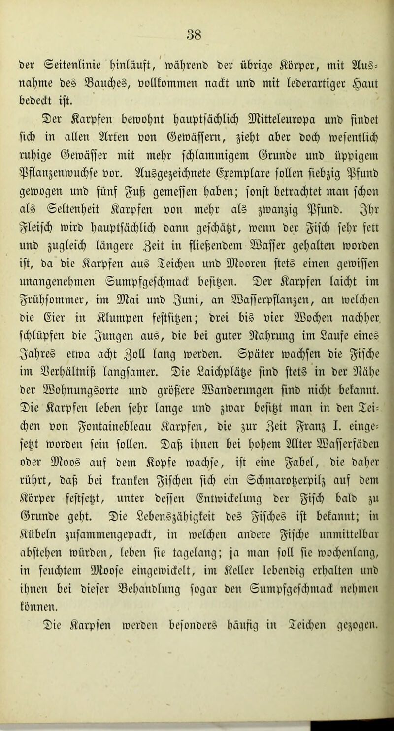 ber Seitentinie f)inläuft, lüä'^renb ber übrige Körper, ntit 3lu§; nabme be§ 33audbe§, boUfommen nadt unb mit teberartiger |)aut bebectt ift. Ser Karpfen bemobitt b“uptfäcbUcb 3Kitteleuropa unb finbet ficb in allen Slrten bon @en»äffem, jiebt aber bocb mefentli(b rubige ©emäffer mit mehr fcblammigem ©runbe unb üppigem 5ßflan5enmu(i)fe bor. 3lu§geäei(bnete ©pemplare follen fiebjig i^ifunb gemogen unb fünf fyuji gemeffen haben; fonft betra(btet man fcbon al§ Seltenheit Karpfen bon mehr al§ jman^ig ißfunb. 3hi^ i^leifcb toitb hauptfächlich bann gefcbä^t, menn ber unb jugleidh längere ™ fliehenbem SBaffer gehalten morben ift, ba bie Karpfen au§ Sei(ben unb Sltooren ftet§ einen gemiffen unangenehmen ©umpfgefchmad befi^en. Ser Karpfen lai(bt im fjrühfommer, im 39tai unb 3'uni, an SBafferpflanjen, an meld}en bie gier in klumpen feftfi|en; brei bi§ hier SBochen naibher fchlüpfen bie fjungen au§, bie bei guter fRahrung im Saufe eine§ ^ahreä etma acht 3^11 lang merben. Später ma(bfen bie f^ifdhe im Serhältnih langfamer. Sie Saichpläge finb ftet§ in ber fRähe ber 2öohnung§orte unb größere SBanberungen finb nicht befannt. Sie Äarpfen leben fehr lange unb jmar befigt man in ben Sei= dhen bon f^O’^tainebleau Sarpfen, bie jur Seit ^rans I. einge- fe^t morben fein follen. Sah ihnen bei hoheia ällter SBaffcrfäbcu ober 2Jloo§ auf bem ^opfe machfe, ift eine f^abel, bie baher rührt, baf? bei franfen f^ife^en fi(b ein ©(bmarohcrpils auf bem .Körper feftfegt, unter beffen (Sntmidelung ber fyife^ t’alb ju ©runbe geht. Sie Sebensjähigfeit be§ gifcheS ift befannt; in .ftübeln jufammengepadt, in melchen anbere e5if<^e unmittelbar abftc'hen mürben, leben fie tagelang; ja man foll fie mochenfang, in feiubtem SRoofe eingemidelt, im Heller lebenbig erhalten unb ihnen bei biefer 35ebanblung fogar ben Sumpfgef(hmad nehmen tonnen. Sie Äarpfen merben befonber§ häufig in Seidmn gesogen.