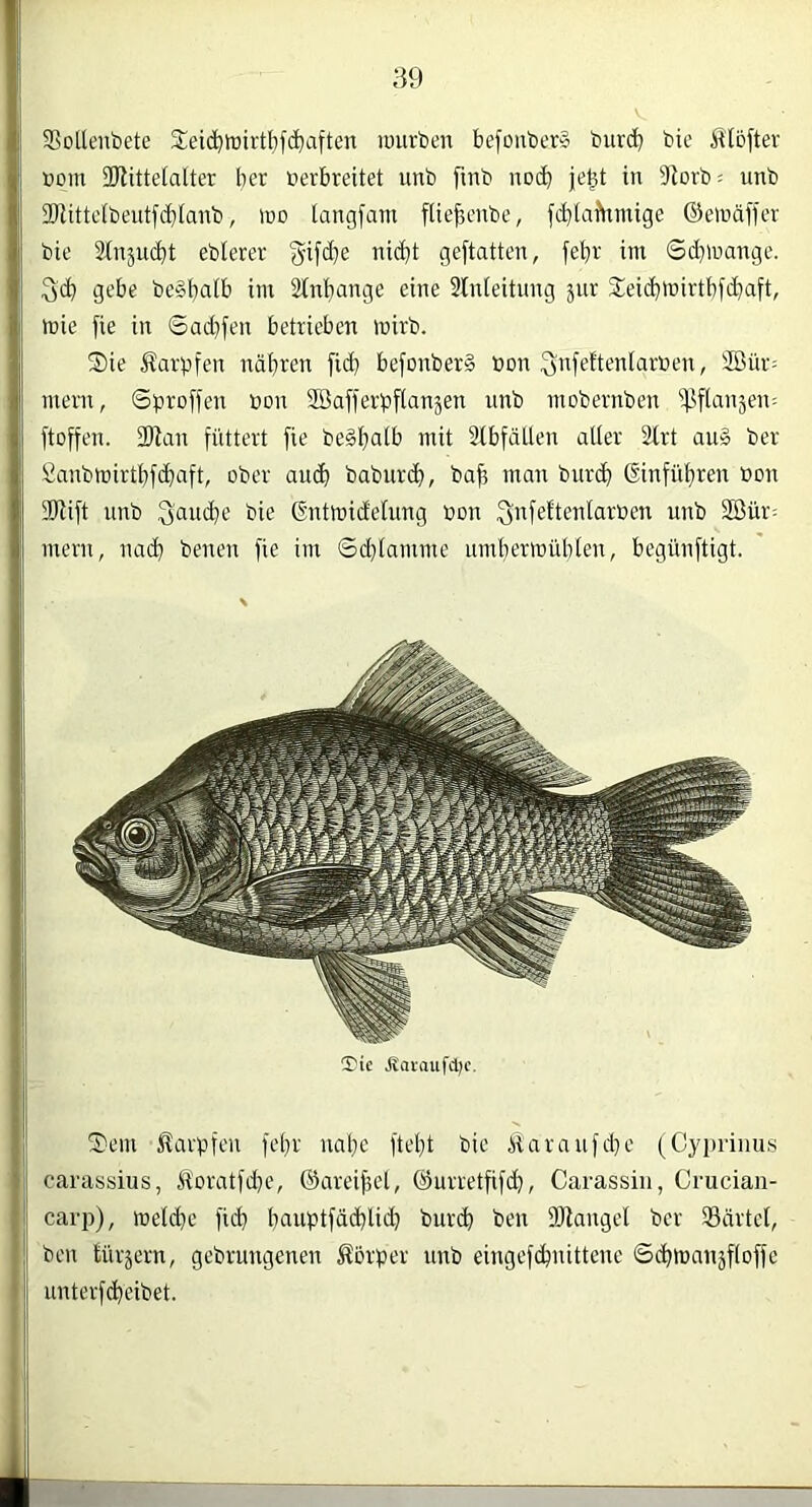 SBollenbete 3:ei(^it)irtt)fd[}aften lourben befouberS burd) bie Älöftev öom 2)litte(alter ber »erbreitet imb fmb nocb je^t in 9^orb = unb 3Wittc(beiitf(bianb, wo langfam fliebenbe, fcblafttmige ©einälfer bie Slnjucbt eblerer 3ifd}e nidbt geftatten, febt im ©i^mange. 3(b gebe be^bnib im Sinbange eine Anleitung jur S:eid}mirtbf(baft, mie fie in Sad}fen betrieben mirb. S)ie Äarpfen näbren ficb befonber§ non Siifeftenlarben, 2ßür^ mern, Sproffen bon SBafferpflansen unb mobernben ‘^^flanjen: ftoffen. 2Ran füttert fie be^balb mit Sbbfdllen alter 2lrt au» ber Saubmirtbfcbiift, ober audb baburi^), bab man burcb ßinfübren bon 2Rift unb bie ßntmidetung bou Sufeftenlarben unb SBür; mern, nacb benen fie im ©d}lamme urnbermüblen, begüuftigt. !Ttc Äavaufdjc. S)em Äarpfen febr nabe ftebt bie Haraufd}e (Cypriiius carassius, ii'oratfdje, ©areibel, ©urretfifdj, Carassiii, Crucian- car])), melcbe ficb bauptfäcbliib buri^ ben DJiangel ber IBärtel, ben tür^ern, gcbrungenen Körper unb eiugefcbnittene ©cbmaujfloffe unterfcbeibet.