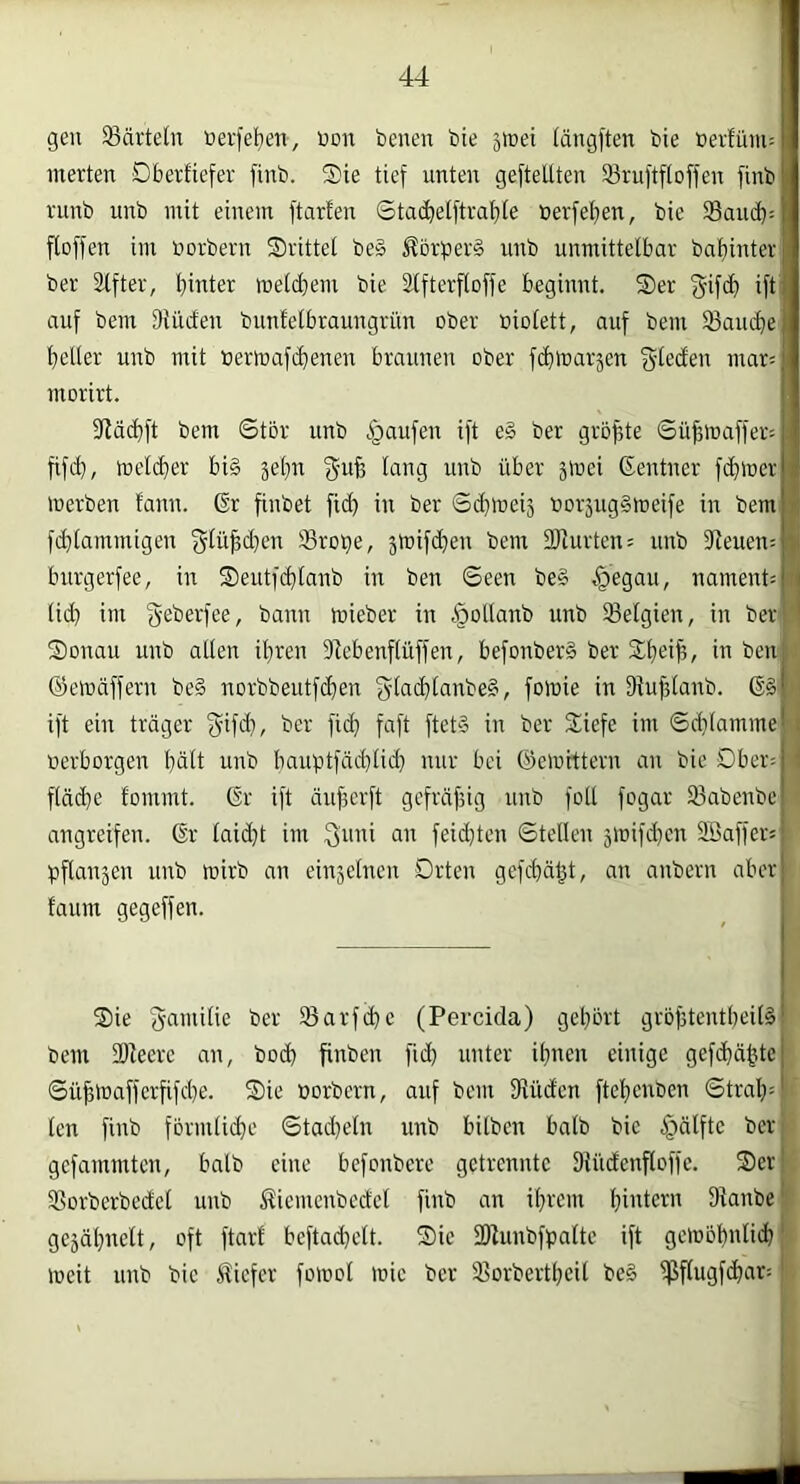 gen 93ävtetn nerfetien, non bcnen bie jwet (ängften bie berfüm:| inerten Oberfiefer finb. Sie tief unten gefteltten Sßruftfloffen finbi runb unb mit einem ftarfen Sta(^elftrai)te öerfel)en, bie S3aud):t fioffen im borbern Srittel be§ Äörber§ unb unmittelbar baljintei'' ber Stfter, hinter metdjem bie Slfterfloffe beginnt. Ser ift’ auf bem DUicten buntetbraungrün ober »iolett, auf bem 33ancbe: heller unb mit bermafchenen braunen ober fchtoarjen gleden mar;'; morirt. fHächft bem ©tör unb .Raufen ift e§ ber größte ©üjjmafferj; | fifd), mel(ber bi§ jehn ^uB lang unb über jibei Sentner f^iiberta merben lann. 6r finbet fich in ber Sd}ibeiä borsugStoeife in bemB fd}lammigen f^lüBd}en Sro^e, stoifchen bem fDiurten? unb 9Zeuen= burgerfee, in Seutfchlanb in ben ©een be§ .§egau, nament4 ■ lid) im gßberfee, bann mieber in §otlanb unb ^Belgien, in ber* Sonau unb allen ihren Dlebenflüffen, befonber§ ber Sheij?/ in benlj ©eibäffern be§ norbbeutfchen 3^lad)lanbe§, folbie in Diufilanb. ift ein träger §ifd}, ber fid) faft fteta in ber Siefe im ©chlammel berhorgen hält unb lmnptfäd)lid} nur bei ©emHtern an bie Dber= , fläd)e fommt. (Sr ift äufserft gcfräfiig unb foll fogar 23abenbe angreifen, ßr laid}t im 3'nni an feid}ten ©teilen äibifd^en SSaffer^ ■ bflanjen unb mirb an einjelnen Orten gefchäht, an anbern aber! tanm gegeffen. Sie gamilie ber 93arfd)e (Percida) gehört gröfitentheilö' bem IDZeere an, bod) finben fich unter ihnen einige gefchähte; ©üBtbafferfifi'he. Sie borbern, auf bem Srüden ftehenben ©trah=' len finb formlidje ©tad)eln unb bitben halb bie 4^älftc ber gefammten, halb eine befonbere getrennte Dlndenfloffe. Ser 3Sorberbedel unb S^iemenbedel finb an ihrem hiidern SRanbe gejähnelt, oft ftart beftad^elt. Sie fOlunbfpalte ift gelböhnlich ineit unb bie Kiefer fomol mie ber 5?orbertheil be§ ijSflugfchars