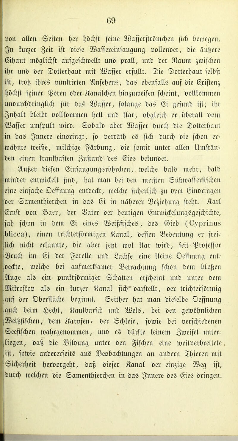 ! »on allen Seiten t>er l)bd^j't feine äÖaffer)ti-ömcl}en fid) bciuegen. Sn turäer Seit ift biefe Sßaffeteinfaugung nollenbet, bie änf,ere ßi^aut mögli(f)ft aufgefd)tt)ellt unb t^rall, unb ber Diaum jtnifcben il)r unb ber Sctterljaut mit SBaffer erfüllt. 2)ie Sotterbaut felbft , ift, trob ibfe§ bunftirten Slnfeben^, ba§ ebenfalls auf bie ©yiftenji bbd)ft feiner ißoren ober ilanäl(ben binäumeifen fd)eint, »oUlommen ^ unburcbbringliib für ba§ 3öaffer, folange ba§ ßi gefunb ift; ibr SS'nbatt bleibt bolllommen beU unb tlar, obgleich er überall bom SBaffer umfpült mirb. Sobalb aber Sßaffer burd} bie ISotterbaut Iin ba§ Snuere einbringt, fo berrätb e§ ficb burd) bie fd}on er= toäbnte mei^e, milchige gärbung, bie fornit unter allen Uinftän; Iben einen franfbaften Suftanb be§ ßie§ befunbet. Sluber biefen ßinfaugungSrbbrdmn, melcbe halb mehr, halb minber entmid'elt finb, but man bei ben meiften Sübmafferfifd)en eine einfa(be Deffnung entbedt, melcbe fid}erlicb äu brin Einbringen ber Samentbiercben in ba§ Ei in näherer 93e^iebung ftebt. Ä'arl Enift Bon 33aer, ber 3Sater ber heutigen Entmidelung§gefd)id)te, fab fdiou in bem Ei eine§ Söeibfifcbeä, be§ Sieb (Cypi-inus iblicca), einen trichterförmigen ^anal, beffen Sebeutung er frei= flieh uicbt erfannte, bie aber jebt mol llar mirb, feit ißrofeffor ^ 33rud] im Ei ber Sorelte unb Sadbfe eine Heine Deffnung ent= jbedte, meldbe bei aufmertfamer SSetraibtung febon bem btoben j^äluge als ein punttförmiger Schatten erfebeint unb unter bem (SRilroflop als ein lurjer lanat ficb barftellt, ber trichterförmig auf ber Oberfläche beginnt. Seither but man biefelbe Deffnung ifjaucb beim ^eebt, ^aulbarfd) unb 2BelS, bei ben gemöbntid}en i 2Beibfif(beu, bem Karpfen» ber Schleie, fomie bei Derfd}iebenen If Seefifeben mabrgenommen, unb eS bürfte feinem S'ueifel unter: »liegen, bafe bie Silbung unter ben gifeben eine meitberbreitete. ift, fomie anbererfeitS auS Beobachtungen an anbern 3:biev'en mit i Sicherheit h^iborgebt, bab biefer 5lanal ber einjige 2öeg ift, bureb melcben bie Samentbier<beu in baS Suuere beS EieS bringen.