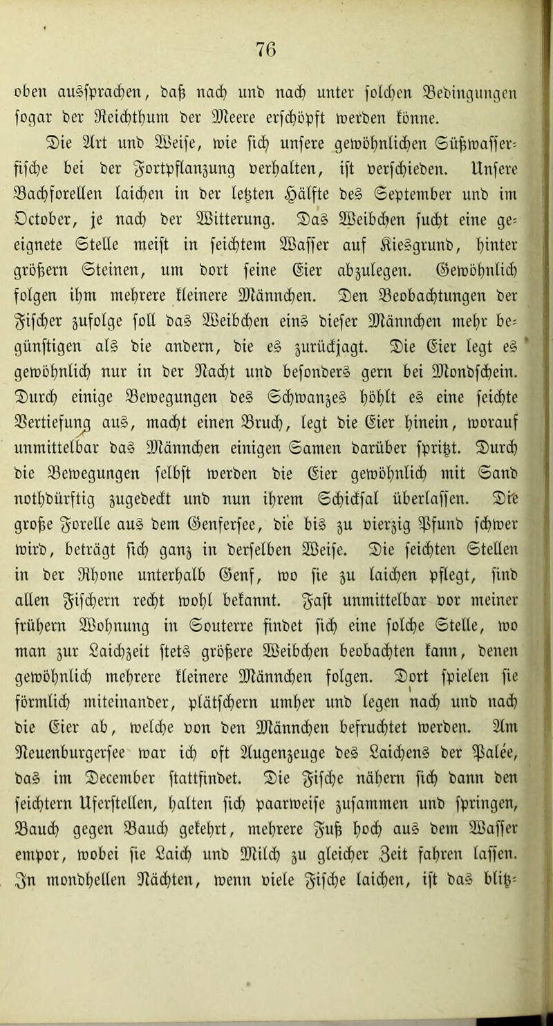 oben au§fpra(^en, ba^ na(^ unb na(^i unter fotctjen Sebiniinngen fogar ber 3teid)tf)um ber 2Reere erfc^öpft werben fbnne. Sie Strt unb SBeife, wie fic^ unfere gewbl}nlic^en Süj}Waffer= fifdje bei ber gortpfianäung »ertjalten, ift »erfc^ieben. Unfere Bachforellen laichen in ber lebten §älfte be§ September unb im October, je nad) ber SBitterung. Sa§ Söeibdwn fu<ht eine ge= eignete Stelle meift in feichtem Sßaffer auf J?ie§grunb, hit^i^r großem Steinen, um bort feine ßier abäulegen. ®ewohnli(^ folgen ihm mehrere Heinere Blännchen. Sen Beoba(^tungen ber §if(hier äufolge foll ba§ SBeibdhen ein§ biefer fülännchen mehr be= günftigen al§ bie anbem, bie e§ juriidjagt. Sie (Eier legt e§ * gewöhnlich nur in ber fRacht unb befonber§ gern bei DJlonbfchein. Surd) einige Bewegungen be§ Schwanjeä hbhti eine feichte Bertiefur^ au§, macht einen Bruch, legt bie (Eier hinein/ worauf unmittelbar ba§ Blännchen einigen Samen barüber fpri^t. Surch bie Bewegungen felbft werben bie ®ier gewöhnlich mit Sanb nothbürftig jugebedt unb nun ihrem Schidfal überlaffen. Sbe gro^e f^orelle auä bem ©enferfee, bie bi§ ju öieräig Bfunb fchwer wirb, beträgt ftch ganj in berfelben SBeife. Sie feichten Stetten in ber SRhone unterhalb ©enf, wo fie ju laid)en pflegt, finb allen f^ife^ern recht wohl befannt. unmittelbar öor meiner frühem äöohnung in Souterre finbet fich eine folche Stelle, wo man jur Said^jeit ftetS größere Sßeibchen beobachten fann, benen gewöhnlich mehrere Heinere DJlännchen folgen. Sort fpieten fie förmlid} miteinanber, plätfchern umher unb legen nach unb nad} bie ßier ab, welche non ben SRännchen befruchtet werben. 2tm fReuenburgerfee war id) oft 2lugenjeuge be§ 2aichen§ ber Ißalee, ba§ im Secember ftattfinbet. Sie nähern fich bann ben feichtem Uferftellen, huHeu fich paarweife jufammen unb fpringen, Baud) gegen Bauch gelehrt, mehrere f^uh hoe^> uu§ bem Söaffer empor, wobei fie Saich unb üRitch ju gleicher 3eit fahren taffen. 3n monbhellen fRähten, wenn niete laihen, ift ba§ blif5=