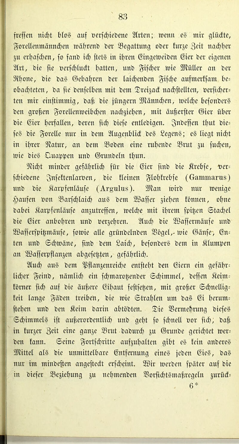 freffen nicf)t bIo§ auf öerfd^iebene 2(rten; lueun e§ mir gtüdte, i mäfjrenb ber ^Begattung ober furje 3eit nac^ber ju erbafcben, fo fanb i(b ftet§ in itiren ßingetoeiben 6ier ber eigenen ä(rt, bie fie nerfcbtndt batten, unb f^ifcber mie SRulIer an ber ! Sfibone, bie ba§ ©ebabren ber tai(^ienben f^ifcbe aufmerffam be- obacbteten, ba fie benfelben mit bem S)reiäad na(^ftellten, »erfid}er= i ten mir einftimmig, bab bie Jüngern SRännbben, met(be befonberS I ben groben f^otcUenmeibd^en nad>äieben, mit duberfter ©ier über I bie ©ier b^rfallen, beren ficb biefe entlebigen. ^nbeffen tbut bie= i' fe§ bie f^oi^elle nur in bem Stugenbtid be§ £egen§; e§ tiegt nicht ij in ihrer Jiatur, an bem 23oben eine rubenbe 33rut ju fucben, mie bie§ Ouapü^Ti unb ©runbeln tbun. 3fiicbt minber gefäbrli(b für bie ©ier finb bie Ärebfe, x>n- fdjiebene ^nf^ftenlaroen, bie fteinen (Gammarus) unb bie Äarüfenläufe (Argulus). Stlan mirb nur menige Raufen oon 93arfdblai(b au§ bem SBaffer gieben fonnen, ohne babei Jfarpfenläufe anjutreffen, meldje mit ihrem fpit^en Stad}el I bie ©ier anbobren unb oerjebren. 2lucb bie SBaffermäufe unb I SBafferfpi^mäufe, fomie alle grünbelnben 3SögeI,-mie ©änfe-, ©m ten unb Scbmäne, finb bem 2aicb, befonber§ bem in .illumpen an SBafferpftanjen abgefebten, gefährlich. 2Iu(h au§ bem ißfianäenreiche entftebt ben ©iern ein gefäbr= 'j lieber f^einb, nämlich ein f^marohenber Schimmel, beffen Äeim; törner fich auf bie äußere ©ibaut feftfehen, mit großer Schnellig: !| teit lange treiben, bie mie Strahlen um ba§ ©i herum; f fteben unb ben Äeim barin abtobten. Sie 3Sermebmng biefeä I Schimmels ift auherorbentlich unb gebt fo fchnelt »or fid), bah |! in furjer 23rut baburch ju ©runbe gerichtet mer; ben fann. Seine f^ortfebritte aufjubalten gibt e§ fein anbereS 1 2JUttel als bie unmittelbare ©ntfernung eines Jeben ©ieS, baS nur im minbeften angeftedt erfcheint. 2Bir merben fpäter auf bie I in biefer ®ejiehung ju nebmenben SSorfichtSmahregeln jurüd; i 6* I