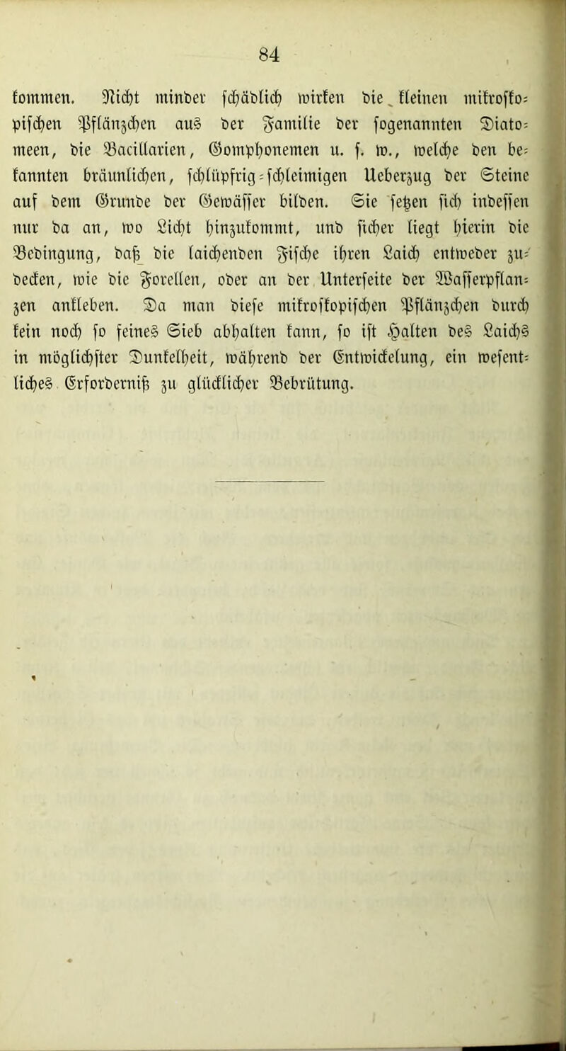 fommen. 5Jlic^t minbev fcfjäblic^i mirten feie ^ fleinen mifroffo: pif(^en $flänäd)en au§ ber gamtüe ber fogenannten ®iato= meen, bie Sacitlavien, ©omp^onemen u. f. to., melc^e ben be- fannten bräunlid}en, fd^üpfrig^fcbletmigen Ueberjug ber ©teine auf bem ©umbe ber ©ernäffer bilben. 6ie fe^en )id) inbefien ' mir ba au, luo £i(bt bit^sufoinmt, unb ficber liegt bierin bie Sebingung, bab bie laicbenben (5ifd)e ihren Saicb entmeber y\x-- 'i beden, inie bie Forellen, ober an ber Unterfeite ber SBafferpflan^ jen anfleben. Sa man biefe mifroffopifcben ißflänjcben burib fein noch fo feinet ©ieb abbalten fann, fo ift i^alten be§ Saicb§ in mbgliibfter Sunfetbeit, mäbrenb ber ßnttoidelung, ein roefent; licbe§ Srforbernib 311 glüdlicber Sebrütung.