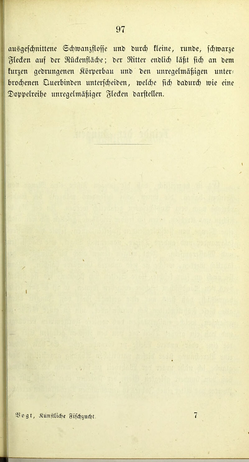 auSgef^nittene ©d^itanäfloffe unb bur<^ fleine, runbe, fc^tDarje Rieden auf ber ^fiüdeufläcbe; ber Flitter enbüc^ lä^t fid) an bem furjen gebrungenen Körperbau unb ben unregelmäßigen unter; brocßenen Ouerbinben unterfcßeiben, metdje ficb babnrdb mie eine Soppelreiße unregelmäßiger gleden barfteden. / I 'Hogt, Jtimft[icf)e gifrf)juct)t