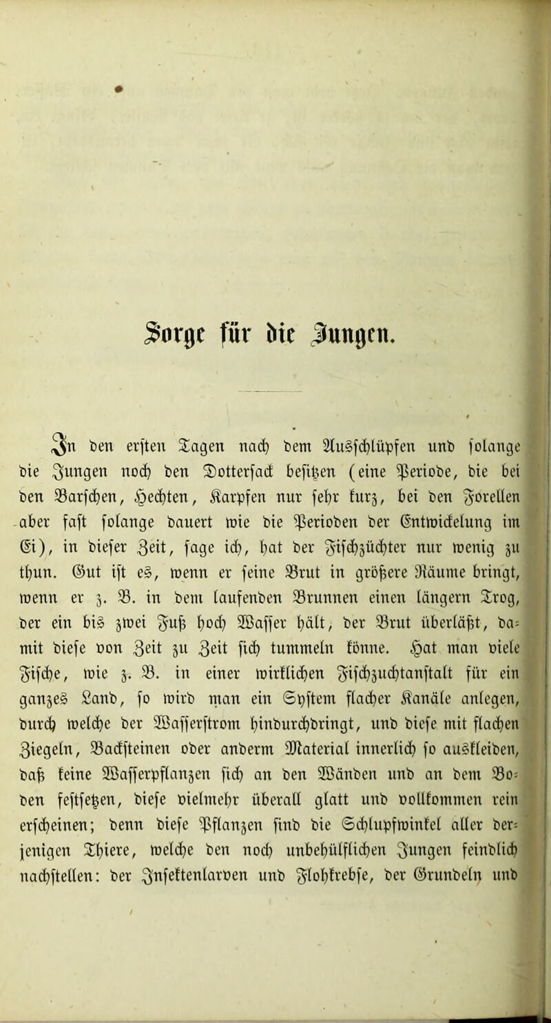 ^orge für hie Jungen. ben erften Sagen nad) bem 2lu§fd)tübfen unb folange bie jungen noc^ ben 2)otterfac£ befil^en (eine ißeriobe, bie bei ben Sarfd^en, §ed)ten, Karpfen nur febr furj, bei ben ^oreilen aber faft folange bauert toie bie $erioben ber Gntmicfeiung im 6i), in biefer 3eit, fage id), bat ber 'gifdbäüdbter nur menig ju tbun. ®ut ift e§, menn er feine Srut in gröbere Siäume bringt, wenn er 3. 33. in bem taufenben SBrunnen einen tängern Srog, ber ein bi§ 3ioei 'gub bod? 3öaffer bdtt, ber 93rut überldbt, ba= mit biefe Don 511 ficb tummeln fbnne. .^at man bieie ■gifdje, mie 3. 23. in einer mirtUdben gifdbsuibtanftatt für ein gan3e§ £anb, fo mirb man ein Spftem flacher Kanäle antegen, burd) toeldbe ber 2Bafferftroin bibbur(bbringt, unb biefe mit fladben Biegeln, 33adfteinen ober anberm Sftaterial innerlidb fo auStleiben, bab leine 3Bafferpflan3en fidb an ben SBänben unb an bem 33o= ben feftfeben, biefe Dielmebr überall glatt unb Dolllommen rein erf(beinen; benn biefe ipflan5en finb bie Stblupfminlel aller ber^ jenigen Sbiere, tneldbe ben nod) unbebülflicben Bungen feinblicb nacbftellen; ber BnfeltenlarDen unb globlrebfe, ber ©runbeln unb