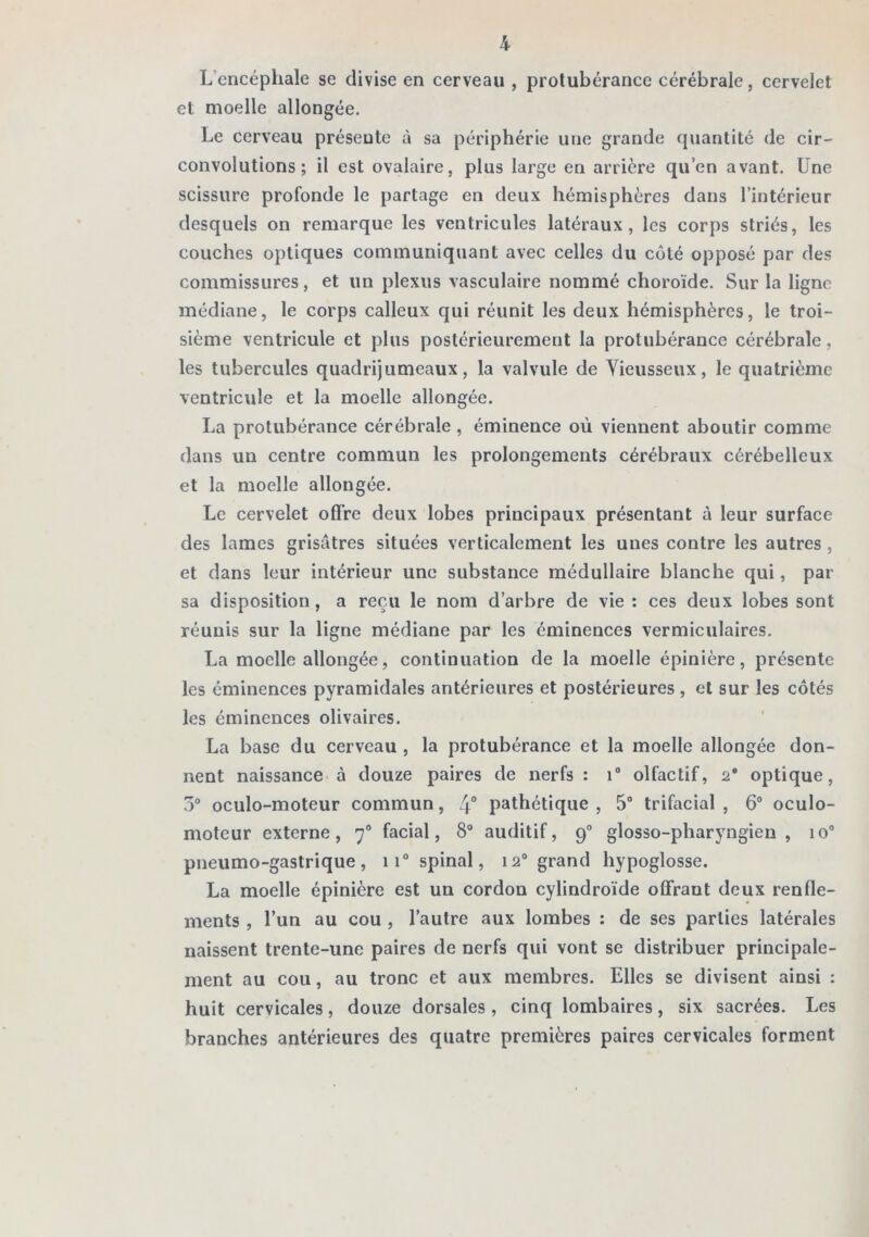 L’encéphale se divise en cerveau , protubérance cérébrale, cervelet et moelle allongée. Le cerveau présente à sa périphérie une grande quantité de cir- convolutions ; il est ovalaire, plus large en arrière qu’en avant. Une scissure profonde le partage en deux hémisphères dans l’intérieur desquels on remarque les ventricules latéraux, les corps striés, les couches optiques communiquant avec celles du coté opposé par des commissures, et un plexus vasculaire nommé choroïde. Sur la ligne médiane, le corps calleux qui réunit les deux hémisphères, le troi- sième ventricule et plus postérieurement la protubérance cérébrale, les tubercules quadrijumeaux, la valvule de Vieusseux, le quatrième ventricule et la moelle allongée. La protubérance cérébrale , éminence où viennent aboutir comme dans un centre commun les prolongements cérébraux cérébelleux et la moelle allongée. Le cervelet offre deux lobes principaux présentant à leur surface des lames grisâtres situées verticalement les unes contre les autres , et dans leur intérieur une substance médullaire blanche qui, par sa disposition, a reçu le nom d’arbre de vie : ces deux lobes sont réunis sur la ligne médiane par les éminences vermiculaires. La moelle allongée, continuation de la moelle épinière, présente les éminences pyramidales antérieures et postérieures , et sur les côtés les éminences olivaires. La base du cerveau , la protubérance et la moelle allongée don- nent naissance à douze paires de nerfs : i” olfactif, 2* optique, 7f oculo-moteur commun, 4° pathétique , 5“ trifacial , 6“ oculo- motcur externe, 7“ facial, 8“ auditif, 9“ glosso-pharyngien , lo” pneumo-gastrique, 11° spinal, 12° grand hypoglosse. La moelle épinière est un cordon cylindroïde offrant deux renfle- ments , l’un au cou , l’autre aux lombes : de ses parties latérales naissent trente-une paires de nerfs qui vont se distribuer principale- ment au cou, au tronc et aux membres. Elles se divisent ainsi : huit cervicales, douze dorsales , cinq lombaires, six sacrées. Les branches antérieures des quatre premières paires cervicales forment
