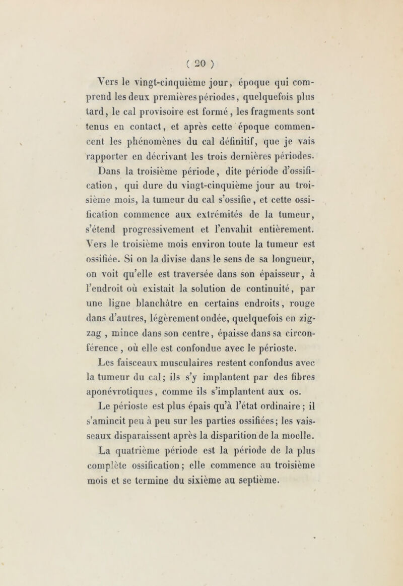 Vers le vingt-cinquième jour, époque qui com- prend les deux premières périodes, quelquefois plus tard, le cal provisoire est formé, les fragments sont tenus en contact, et après cette époque commen- cent les phénomènes du cal définitif, que je vais rapporter en décrivant les trois dernières périodes. Dans la troisième période, dite période d’ossifi- cation , qui dure du vingt-cinquième jour au troi- sième mois, la tumeur du cal s’ossifie, et cette ossi- fication commence aux extrémités de la tumeur, s’étend progressivement et l’envahit entièrement. Vers le troisième mois environ toute la tumeur est ossifiée. Si on la divise dans le sens de sa longueur, on voit qu’elle est traversée dans son épaisseur, à l’endroit où existait la solution de continuité, par une ligne blanchâtre en certains endroits, rouge dans d’autres, légèrement ondée, quelquefois en zig- zag , mince dans son centre, épaisse dans sa circon- férence , où elle est confondue avec le périoste. Les faisceaux musculaires restent confondus avec la tumeur du cal ; ils s’y implantent par des fibres aponévrotiques, comme ils s’implantent aux os. Le périoste est plus épais qu’à l’état ordinaire ; il s’amincit peu à peu sur les parties ossifiées; les vais- seaux disparaissent après la disparition de la moelle. La quatrième période est la période de la plus complète ossification; elle commence au troisième mois et se termine du sixième au septième.