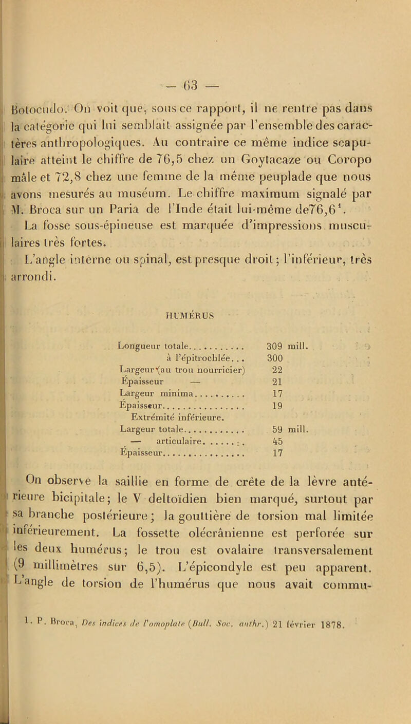 Botocudo. On voit que, sons ce rapport, il ne rentre pas dans la catégorie qui lui semblait assignée par l’ensemble des carac- tères anthropologiques. Au contraire ce même indice scapu- laire atteint le chiffre de 76,5 chez, un Goytacaze ou Coropo mâle et 72,6 chez une femme de la même peuplade que nous avons mesurés au muséum. Le chiffre maximum signalé par M. Broca sur un Paria de l’Inde était lui-même de76,6‘. La fosse sous-épineuse est marquée d’impressions muscu- i laires très fortes. L’angle interne ou spinal, est presque droit; l’inférieur, très i arrondi. Ill'MÉRDS Longueur totale 309 raill. à l’épitroclilée... 300 Largeur(au trou nourricier) 22 Épaisseur — 21 Largeur minima 17 Épaisseur 19 Extrémité inférieure. Largeur totale 59 mill. — articulaire 45 Épaisseur 17 On observe la saillie en forme de crête de la lèvre anté- rieure bicipitale; le V deltoïdien bien marqué, surtout par i sa branche postérieure; la gouttière de torsion mal limitée • p / • intérieurement. La fossette olécranienne est perforée sur les deux humérus; le trou est ovalaire transversalement 1 (9 millimètres sur 6,5). L’épicondyle est peu apparent. L angle de torsion de l’humérus que nous avait comrnu- 1- P. Broca, Des indices de l'omoplate {Bull, Soc, nnthr.) 21 février 1878.