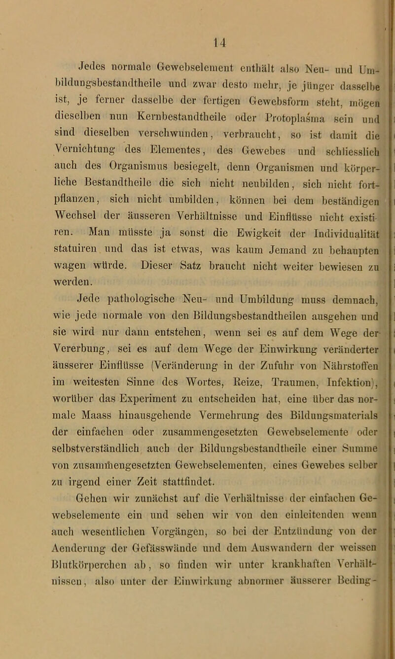 Jedes normale Gewebselement enthält also Neu- und Um- bildungsbestandtheile und zwar desto mehr, je jünger dasselbe ist, je ferner dasselbe der fertigen Gewebsform steht, mögen dieselben nun Kernbestandtheile oder Protoplasma sein und sind dieselben verschwunden, verbraucht, so ist damit die Vernichtung des Elementes, des Gewebes und schliesslich auch des Organismus besiegelt, denn Organismen und körper- liche Bestandtheile die sich nicht neubilden, sich nicht fort- pflanzen, sich nicht umbilden, können bei dem beständigen Wechsel der äusseren Verhältnisse und Einflüsse nicht existi- ren. Man müsste ja sonst die Ewigkeit der Individualität statuiren und das ist etwas, was kaum Jemand zu behaupten wagen würde. Dieser Satz braucht nicht weiter bewiesen zu werden. Jede pathologische Neu- und Umbildung muss demnach, wie jede normale von den Bildungsbestandtheilen ausgehen und sie wird nur dann entstehen, wenn sei es auf dem Wege der Vererbung, sei es auf dem Wege der Einwirkung veränderter äusserer Einflüsse (Veränderung in der Zufuhr von Nährstoffen im weitesten Sinne des Wortes, Reize, Traumen, Infektion;, worüber das Experiment zu entscheiden hat, eine über das nor- male Maass hinausgehende Vermehrung des Bildungsmaterials der einfachen oder zusammengesetzten Gewebselemente oder selbstverständlich auch der Bildungsbestandtheile einer Summe von zusammengesetzten Gewebselementen, eines Gewebes selber zu irgend einer Zeit stattfindet. Gehen wir zunächst auf die Verhältnisse der einfachen Ge- webselemente ein und sehen wir von den einleitenden wenn auch wesentlichen Vorgängen, so bei der Entzündung von der Aenderung der Gefässwände und dem Auswandern der weissen Blutkörperchen ab, so finden wir unter krankhaften Verhält- nissen, also unter der Einwirkung abnormer äusserer Beding-