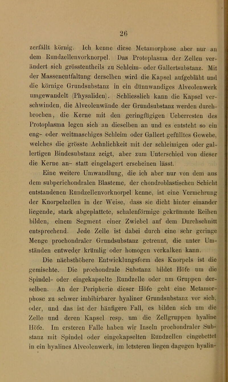 zerfällt körnig. Ich kenne diese Metamorphose aber nur an dem Rundzellenvorknorpel. Das Protoplasma der Zellen ver- ändert sich grüsstentheils zu Schleim- oder Gallertsubstanz. Mit der Massenentfaltung derselben wird die Kapsel aufgebläht und die körnige Grundsubstanz in ein dünnwandiges Alveolen werk umgewandelt (Physaliden). Schliesslich kann die Kapsel ver- schwinden, die Alveolenwände der Grundsubstanz werden durch- brochen, die Kerne mit den geringfügigen Ueberresten des Protoplasma legen sich an dieselben an und es entsteht so ein eng- oder weitmaschiges Schleim oder Gallert gefülltes Gewebe, welches die grösste Aehnlichkeit mit der schleimigen oder gal- lertigen Bindesubstanz zeigt, aber zum Unterschied von dieser die Kerne an- statt eingelagert erscheinen lässt. Eine weitere Umwandlung, die ich aber nur von dem aus dem subperichondralen Blasteme, der chondroblastischen Schicht entstandenen Rundzellenvorknorpel kenne, ist eine Vermehrung der Knorpelzellen in der Weise, dass sie dicht hinter einander liegende, stark abgeplattete, schalenförmige gekrümmte Reihen bilden, einem Segment einer Zwiebel auf dem Durchschnitt entsprechend. Jede Zelle ist dabei durch eine sehr geringe Menge prochondraler Grundsubstanz getrennt, die unter Um- ständen entweder krümlig oder homogen verkalken kann. Die nächsthöhere Entwicklungsform des Knorpels ist die gemischte. Die prochondrale Substanz bildet Höfe um die Spindel- oder eingekapselte Rundzellc oder um Gruppen der- selben. An der Peripherie dieser Höfe geht eiuc Metamor- phose zu schwer imbibirbarer hyaliner Grundsubstauz vor sich, oder, und das ist der häufigere Fall, es bilden sich um die Zelle und deren Kapsel resp. um die Zellgruppen hyaline Höfe. Im erstereu Falle haben wir Inseln prochondraler Sub- stanz mit Spindel oder eingekapselten Rundzellen eingebettet in ein hyalines Alveolenwerk, im letzteren liegen dagegen hyalin-