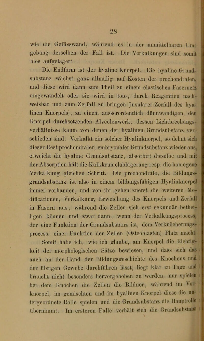 wie die Gefässwand, während es in der unmittelbaren Um- gebung' derselben der Fall ist. Die Verkalkungen sind somit blos aufgelagert. Die Endform ist der hyaline Knorpel. Die hyaline Grund- substanz wächst ganz allmälig auf Kosten der prochondralen, und diese wird dann zum Theil zu einem elastischen Fasernetz umgewandelt oder sie wird in toto, durch Reagentien nach- weisbar und zum Zerfall zu bringen (insularer Zerfall des hya- linen Knorpels), zu einem ausserordentlich dünnwandigen, den Knorpel durchsetzenden Alveolcnwerk, dessen Lichtbrechungs- verhältnisse kaum von denen der hyalinen Grundsubstanz ver- schieden sind. Verkalkt ein solcher Hyalinknorpel, so dehnt sich dieser Rest prochondraler, embryonaler Grundsubstanz wieder aus, erweicht die hyaline Grundsubstanz, absorbirt dieselbe und mit der Absorption hält die Kalkkrümelablagerung resp. die homogene Verkalkung gleichen Schritt. Die prochondrale, die Bildungs- grundsubstanz ist also in einem bildungsfähigen Hyalinknorpel immer vorhanden, und von ihr gehen zuerst die weiteren Mo- dificationen, Verkalkung, Erweichung des Knorpels und Zerfall in Fasern aus, während die Zellen sich erst sekundär bethei- ligen können und zwar dann, wenn der Verkalknngsprocess, der eine Funktion der Grundsubstanz ist, dem Verknöckerungs- proeess, einer Funktion der Zellen (Osteoblasten) Platz macht. Somit habe ich, wie ich glaube, am Knorpel die Richtig- keit der morphologischen Sätze bewiesen, und dass sich das auch an der Hand der Bildungsgeschichte des Knochens und der übrigen Gewebe durchführen lässt, liegt klar zu Tage und braucht nicht besonders hervorgehoben zu werden, nur spielen bei dem Knochen die Zellen die Bildner, während im ^r- knorpel, im gemischten und im hyalinen Knorpel diese die un- tergeordnete Rolle spielen und die Grundsubstauz die Hauptrolle übernimmt. Im erstcrcn Falle verhält sieh die Grundsubstanz
