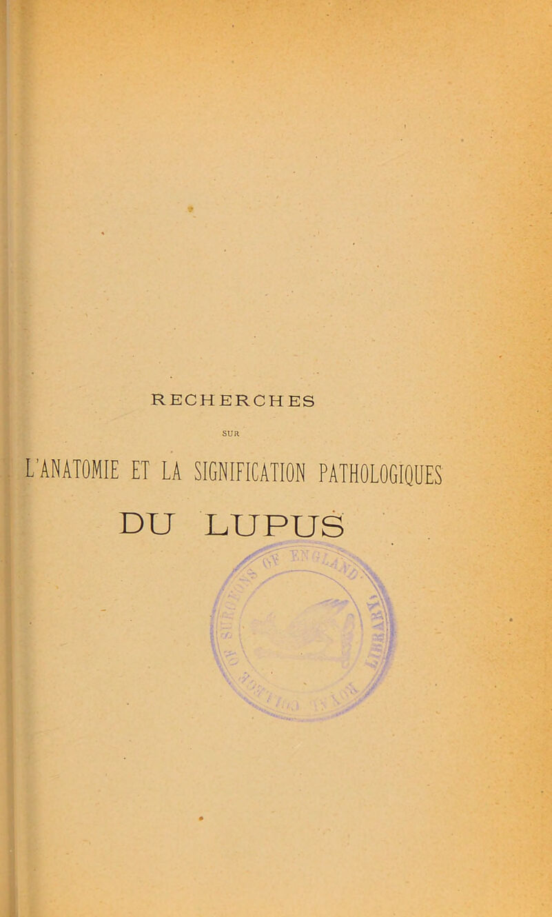 RECHERCHES SUR L'ANATOMIE ET LA SIGNIFICATION PATHOLOGIQUES DU LUPUS