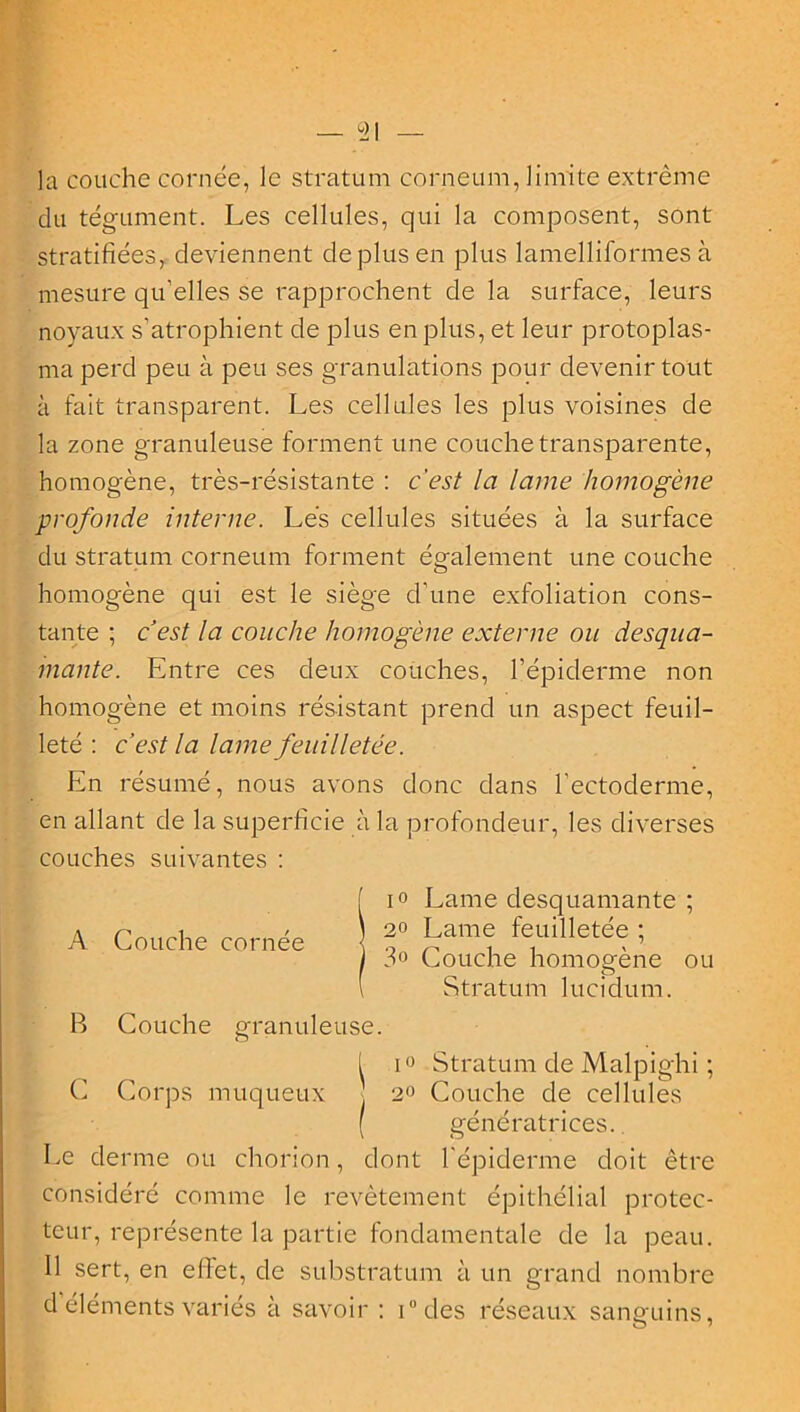 la couche cornée, le stratum corneum, limite extrême du tégument. Les cellules, qui la composent, sont stratifiées, deviennent de plus en plus lamelliformes à mesure qu'elles se rapprochent de la surface, leurs noyaux s'atrophient de plus en plus, et leur protoplas- ma perd peu à peu ses granulations pour devenir tout à fait transparent. Les cellules les plus voisines de la zone granuleuse forment une couche transparente, homogène, très-résistante : c'est la lame homogène profonde interne. Lés cellules situées à la surface du stratum corneum forment également une couche homogène qui est le siège d’une exfoliation cons- tante ; cest la couche homogène externe ou desqua- mante. Entre ces deux couches, l’épiderme non homogène et moins résistant prend un aspect feuil- leté : c’est la lame feuilletée. En résumé, nous avons donc dans l'ectoderme, en allant de la superficie à la profondeur, les diverses couches suivantes : A Couche cornée i° Lame desquamante ; 20 Lame feuilletée ; 3° Couche homogène ou Stratum lucidum. granuleuse. B Couche Corps muqueux C i i° Stratum de Malpighi ; 2° Couche de cellules ( génératrices. Le derme ou chorion, dont l'épiderme doit être considéré comme le revêtement épithélial protec- teur, représente la partie fondamentale de la peau. Il sert, en effet, de substratum à un grand nombre d éléments variés à savoir : i°des réseaux sanguins,