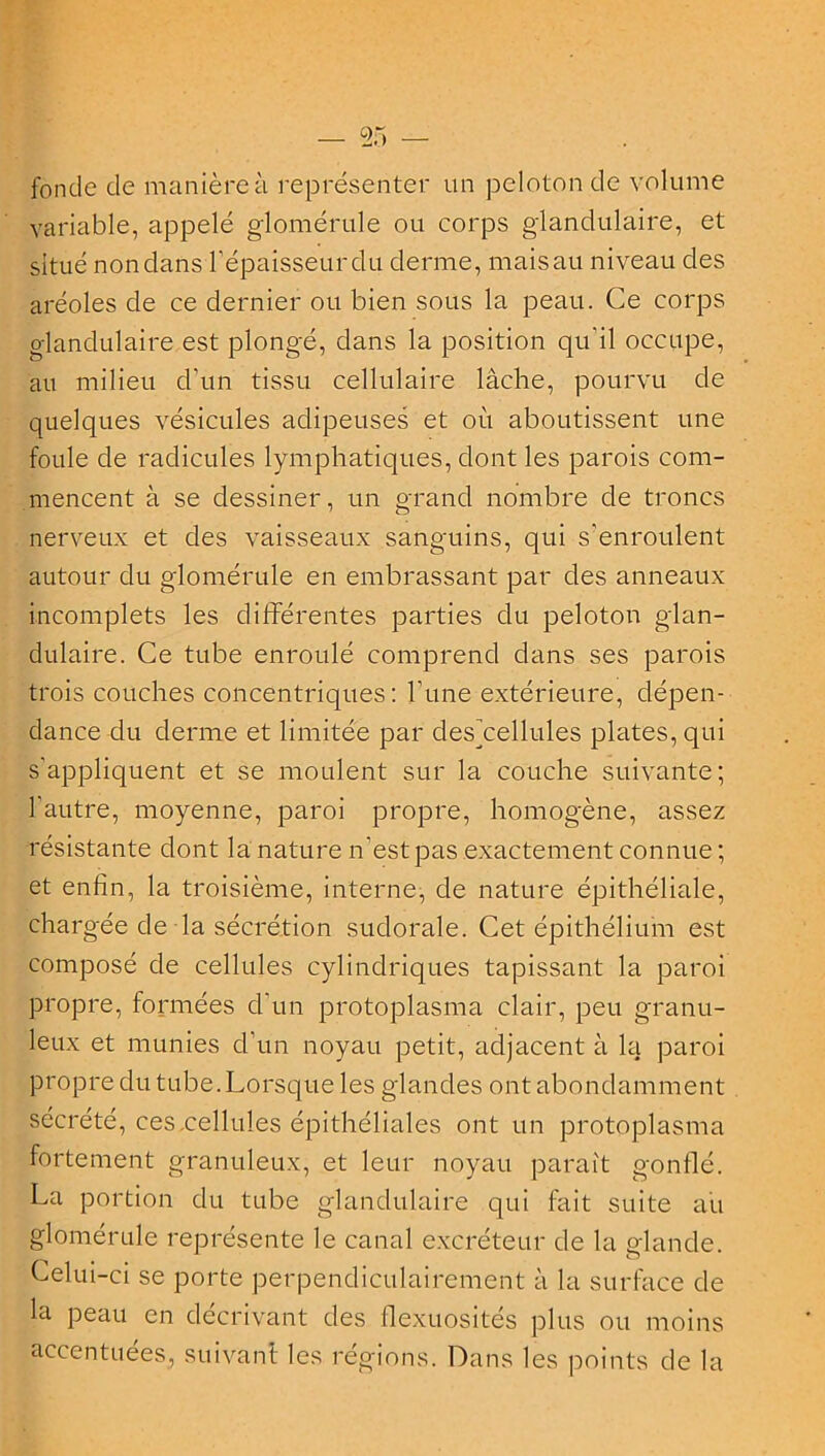 fonde de manière à représenter un peloton de volume variable, appelé glomérule ou corps glandulaire, et situé non clans l'épaisseur du derme, mais au niveau des aréoles de ce dernier ou bien sous la peau. Ce corps glandulaire est plongé, dans la position qu'il occupe, au milieu d’un tissu cellulaire lâche, pourvu de quelques vésicules adipeuses et où aboutissent une foule de radicules lymphatiques, dont les parois com- mencent à se dessiner, un grand nombre de troncs nerveux et des vaisseaux sanguins, qui s’enroulent autour du glomérule en embrassant par des anneaux incomplets les différentes parties du peloton glan- dulaire. Ce tube enroulé comprend dans ses parois trois couches concentriques: l’une extérieure, dépen- dance du derme et limitée par clesffellules plates, qui s’appliquent et se moulent sur la couche suivante; l’autre, moyenne, paroi propre, homogène, assez résistante dont la nature n’est pas exactement connue ; et enfin, la troisième, interne, de nature épithéliale, chargée de la sécrétion sudorale. Cet épithélium est composé de cellules cylindriques tapissant la paroi propre, formées d'un protoplasma clair, peu granu- leux et munies d’un noyau petit, adjacent à la paroi propre du tube. Lorsque les glandes ont abondamment sécrété, ces cellules épithéliales ont un protoplasma fortement granuleux, et leur noyau paraît gonflé. La portion du tube glandulaire qui fait suite au glomérule représente le canal excréteur de la glande. Celui-ci se porte perpendiculairement à la surface de la peau en décrivant des flexuosités plus ou moins accentuées, suivant les régions. Dans les points de la