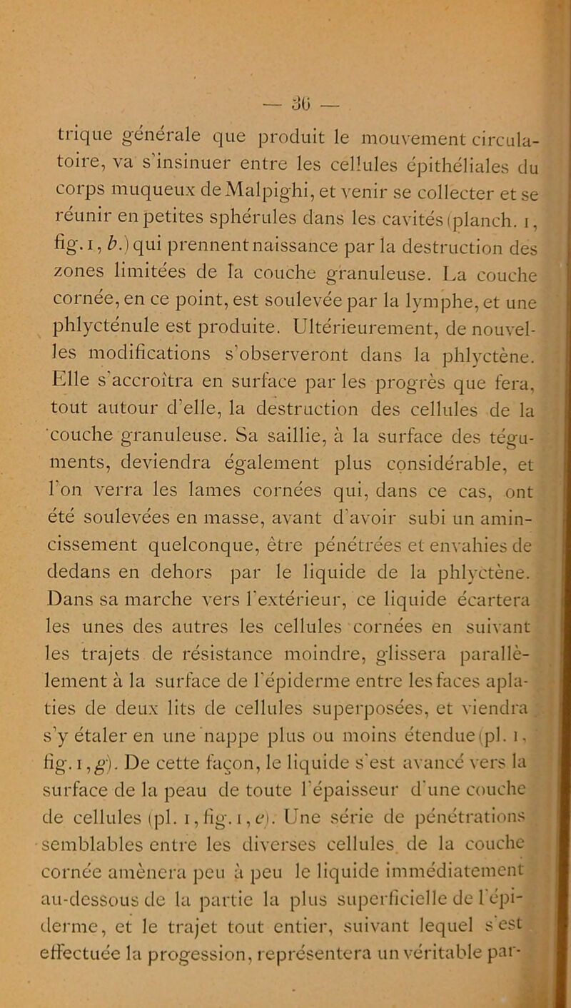 trique générale que produit le mouvement circula- toire, va s insinuer entre les cellules épithéliales du corps muqueux deMalpighi, et venir se collecter et se réunir en petites sphérules dans les cavités (planch. i, fig. i, 6.) qui prennent naissance par la destruction des zones limitées de la couche granuleuse. La couche cornée, en ce point, est soulevée par la lymphe, et une phlycténule est produite. Ultérieurement, de nouvel- les modifications s’observeront dans la phlyctène. Elle s'accroîtra en surface par les progrès que fera, tout autour d’elle, la destruction des cellules de la couche granuleuse. Sa saillie, à la surface des tégu- ments, deviendra également plus considérable, et l’on verra les lames cornées qui, dans ce cas, ont été soulevées en masse, avant d'avoir subi un amin- cissement quelconque, être pénétrées et envahies de dedans en dehors par le liquide de la phlyctène. Dans sa marche vers l'extérieur, ce liquide écartera les unes des autres les cellules cornées en suivant les trajets de résistance moindre, glissera parallè- lement à la surface de l’épiderme entre les faces apla- ties de deux lits de cellules superposées, et viendra . s’y étaler en une nappe plus ou moins étendue (pl. i, fig. i ,g). De cette façon, le liquide s'est avancé vers la surface de la peau de toute l'épaisseur d’une couche de cellules (pl. i, fig. i, c). Une série de pénétrations semblables entre les diverses cellules de la couche * 2 cornée amènera peu à peu le liquide immédiatement au-dessous de la partie la plus superficielle de l’épi- derme, et le trajet tout entier, suivant lequel s est