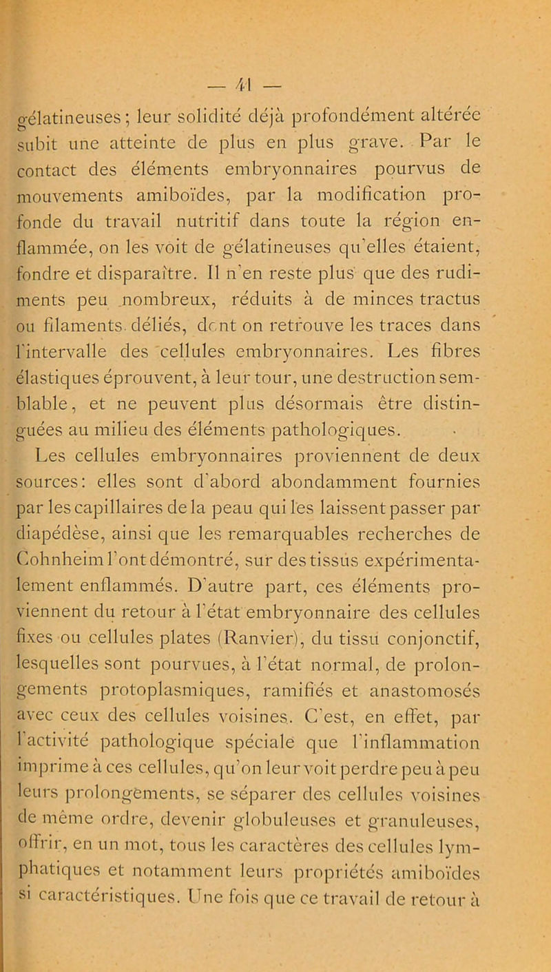 gélatineuses; leur solidité déjà profondément altérée subit une atteinte de plus en plus grave. Par le contact des éléments embryonnaires pourvus de mouvements amiboïdes, par la modification pro- fonde du travail nutritif dans toute la région en- flammée, on les voit de gélatineuses qu’elles étaient, fondre et disparaître. Il n’en reste plus que des rudi- ments peu nombreux, réduits à de minces tractus ou filaments, déliés, dont on retrouve les traces dans l'intervalle des cellules embryonnaires. Les fibres élastiques éprouvent, à leur tour, une destruction sem- blable, et ne peuvent plus désormais être distin- guées au milieu des éléments pathologiques. Les cellules embryonnaires proviennent de deux sources: elles sont d'abord abondamment fournies par les capillaires de la peau qui les laissent passer par diapédèse, ainsi que les remarquables recherches de Cohnheim l’ont démontré, sur des tissus expérimenta- lement enflammés. D’autre part, ces éléments pro- viennent du retour à l’état embryonnaire des cellules fixes ou cellules plates (Ranvier), du tissu conjonctif, lesquelles sont pourvues, à l’état normande prolon- gements protoplasmiques, ramifiés et anastomosés avec ceux des cellules voisines.. C’est, en effet, par 1 activité pathologique spéciale que l'inflammation imprime à ces cellules, qu’on leur voit perdre peu à peu leurs prolongements, se séparer des cellules voisines de même ordre, devenir globuleuses et granuleuses, offrir, en un mot, tous les caractères des cellules lym- phatiques et notamment leurs propriétés amiboïdes si caractéristiques, line fois que ce travail de retour à