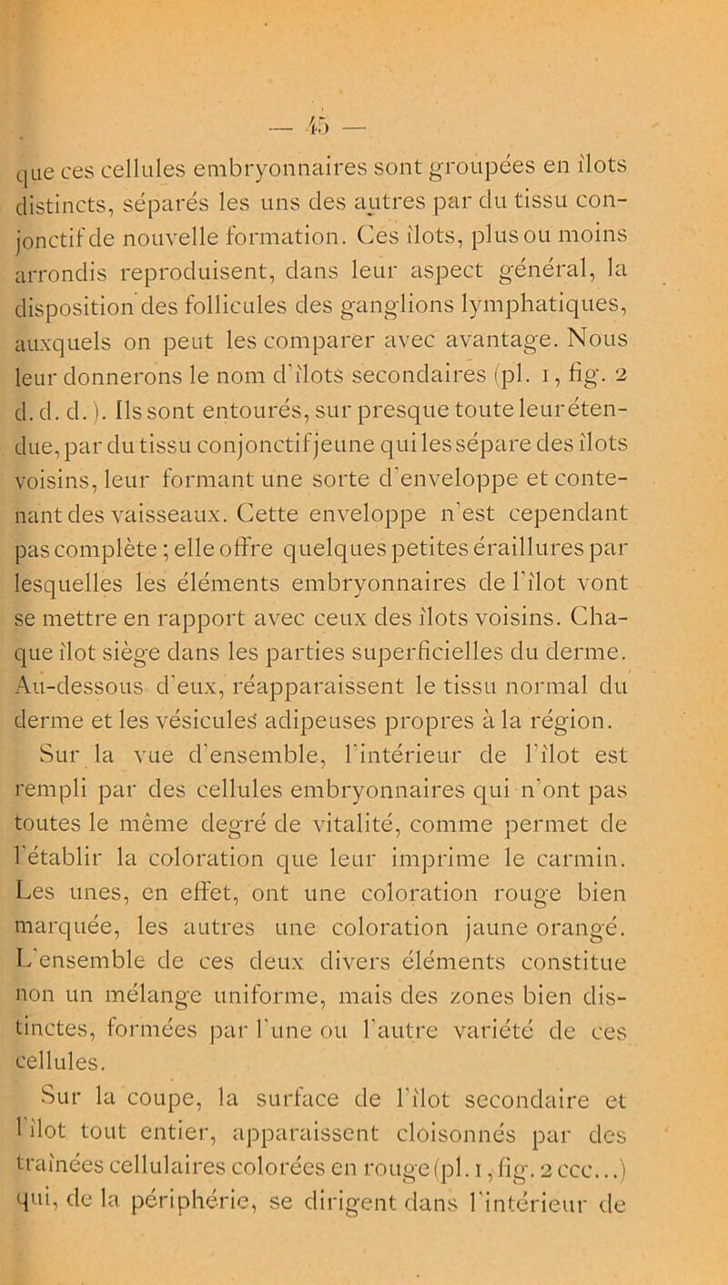 que ces cellules embryonnaires sont groupées en ilôts distincts, séparés les uns des autres par du tissu con- jonctif de nouvelle formation. Ces ilôts, plus ou moins arrondis reproduisent, dans leur aspect général, la disposition des follicules des ganglions lymphatiques, auxquels on peut les comparer avec avantage. Nous leur donnerons le nom d'ilots secondaires (pl. i, fig. 2 d. d. d. ). Ils sont entourés, sur presque toute leuréten- due, par du tissu conjonctif jeune qui les sépare des îlots voisins, leur formant une sorte d’enveloppe et conte- nant des vaisseaux. Cette enveloppe n’est cependant pas complète ; elle offre quelques petites éraillures par lesquelles les éléments embryonnaires de l’îlot vont se mettre en rapport avec ceux des îlots voisins. Cha- que îlot siège dans les parties superficielles du derme. Au-dessous d’eux, réapparaissent le tissu normal du derme et les vésicules adipeuses propres à la région. Sur la vue d'ensemble, l'intérieur de l’îlot est rempli par des cellules embryonnaires qui n'ont pas toutes le même degré de vitalité, comme permet de 1 établir la coloration que leur imprime le carmin. Les unes, en effet, ont une coloration rouge bien marquée, les autres une coloration jaune orangé. L’ensemble de ces deux divers éléments constitue non un mélange uniforme, mais des zones bien dis- tinctes, formées par l’une ou l’autre variété de ces cellules. Sur la coupe, la surface de l’îlot secondaire et 1 îlot tout entier, apparaissent cloisonnés par des traînées cellulaires colorées en rouge (pl. 1, fig. 2 ccc...) qui, de la périphérie, se dirigent dans l'intérieur de