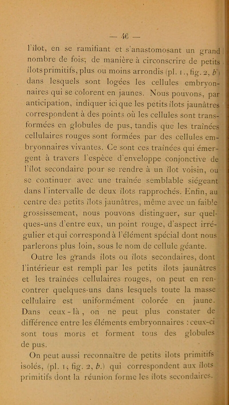 1 îlot, en se 1 ami fiant et s anastomosant un grand nombre de fois, de manière à circonscrire de petits ilôts primitifs, plus ou moins arrondis (pl. ifig. 2, b' 1 dans lesquels sont logées les cellules embryon- naires qui se colorent en jaunes. Nous pouvons, par anticipation, indiquer ici que les petits ilôts jaunâtres correspondent à des points où les cellules sont trans- formées en globules de pus, tandis que les tramées cellulaires rouges sont formées par des cellules em- bryonnaires vivantes. Ce sont ces traînées qui émer- gent à travers l’espèce d’enveloppe conjonctive de Idiot secondaire pour se rendre à un ilôt voisin, ou se continuer avec une trainée semblable siégeant o dans 1 intervalle de deux ilôts rapprochés. Enfin, au centre des petits ilôts jaunâtres, même avec un faible grossissement, nous pouvons distinguer, sur quel- ques-uns d’entre eux, un point rouge, d’aspect irré- gulier etqui correspond à l’élément spécial dont nous parlerons plus loin, sous le nom de cellule géante. Outre les grands ilôts ou ilôts secondaires, dont l’intérieur est rempli par les petits ilôts jaunâtres et les traînées cellulaires rouges, on peut en ren- contrer quelques-uns dans lesquels toute la masse cellulaire est uniformément colorée en jaune. Dans ceux - là , on ne peut plus constater de différence entre les éléments embryonnaires : ceux-ci sont tous morts et forment tous des globules de pus. On peut aussi reconnaître de petits ilôts primitifs isolés, (pl. 1, fig. 2, b.) qui correspondent aux ilôts primitifs dont la réunion forme les ilôts secondaires.