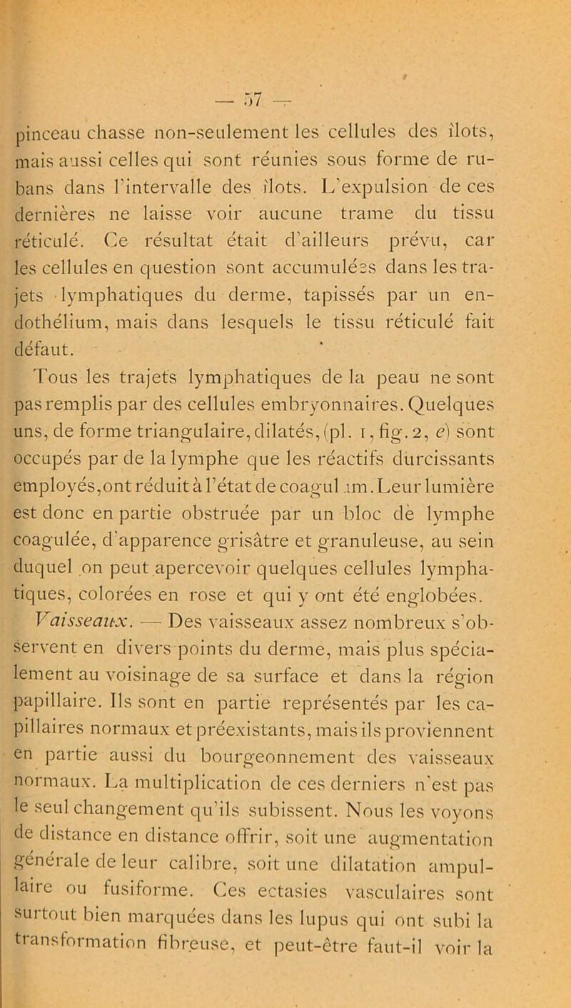 pinceau chasse non-seulement les cellules des ilôts, mais aussi celles qui sont réunies sous forme de ru- bans dans l'intervalle des ilôts. L'expulsion de ces dernières ne laisse voir aucune trame du tissu réticulé. Ce résultat était d'ailleurs prévu, car les cellules en question sont accumulées dans les tra- jets lymphatiques du derme, tapissés par un en- dothélium, mais dans lesquels le tissu réticulé fait défaut. Tous les trajets lymphatiques de la peau ne sont pas remplis par des cellules embryonnaires. Quelques uns, de forme triangulaire, dilatés, (pi. i, fig. 2, é) sont occupés par de la lymphe que les réactifs durcissants employés,ont réduit à l’état de coagul im. Leur lumière est donc en partie obstruée par un bloc de lymphe coagulée, d'apparence grisâtre et granuleuse, au sein duquel on peut apercevoir quelques cellules lympha- tiques, colorées en rose et qui y ont été englobées. Vaisseaux. — Des vaisseaux assez nombreux s’ob- servent en divers points du derme, mais plus spécia- lement au voisinage de sa surface et dans la région papillaire. Ils sont en partie représentés par les ca- pillaires normaux et préexistants, mais ils proviennent en partie aussi du bourgeonnement des vaisseaux normaux. La multiplication de ces derniers n'est pas le seul changement qu'ils subissent. Nous les voyons de distance en distance offrir, soit une augmentation générale de leur calibre, soit une dilatation ampul- laire ou fusiforme. Ces ectasies vasculaires sont surtout bien marquées dans les lupus qui ont subi la transformation fibreuse, et peut-être faut-il voir la