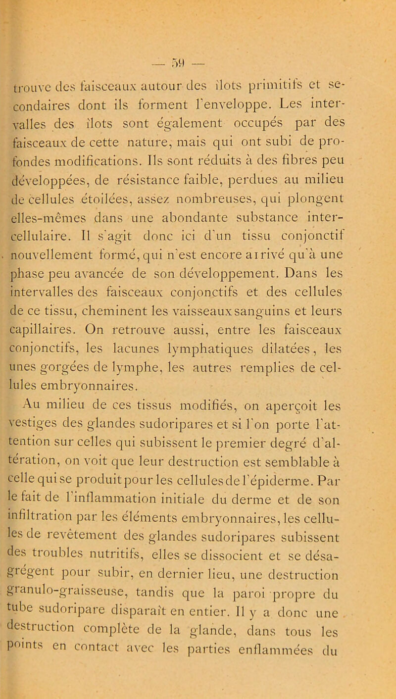 trouve des faisceaux autour des ilôts primitifs et se- condaires dont ils forment l'enveloppe. Les inter- valles des ilôts sont également occupés par des faisceaux de cette nature, mais qui ont subi de pro- fondes modifications. Ils sont réduits à des fibres peu développées, de résistance faible, perdues au milieu de cellules étoilées, assez nombreuses, qui plongent elles-mêmes dans une abondante substance inter- cellulaire. Il s'agit donc ici d'un tissu conjonctif nouvellement formé, qui n’est encore ai rivé qu’à une phase peu avancée de son développement. Dans les intervalles des faisceaux conjonctifs et des cellules de ce tissu, cheminent les vaisseaux sanguins et leurs capillaires. On retrouve aussi, entre les faisceaux conjonctifs, les lacunes lymphatiques dilatées, les unes gorgées de lymphe, les autres remplies de cel- lules embryonnaires. Au milieu de ces tissus modifiés, on aperçoit les vestiges des glandes sudoripares et si l'on porte l'at- tention sur celles qui subissent le premier degré d'al- tération, on voit que leur destruction est semblable à celle qui se produitpour les cellules de l’épiderme. Par le fait de 1 inflammation initiale du derme et de son infiltration par les éléments embryonnaires, les cellu- les de revêtement des glandes sudoripares subissent des troubles nutritifs, elles se dissocient et se désa- giégent pour subir, en dernier lieu, une destruction gianulo-graisseuse, tandis que la paroi propre du tube sudoripare disparaît en entier. 11 y a donc une destruction complète de la glande, dans tous les points en contact avec les parties enflammées du