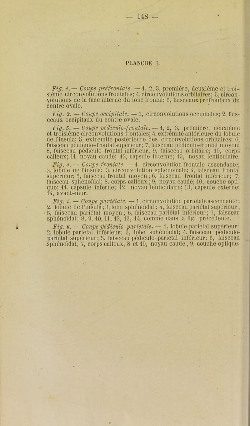 Fig. 1.— Coupe prêfrontale. — 1, 2, 3, première, deuxième et troi- sième circonvolutions frontales; 4, circonvolutions orbitaires; 5, circon- volutions de la face interne du lobe frontal; 6, faisceaux préfrontaux du centre ovale. Fig. 2. — Coupe occipitale. — 1, circonvolutions occipitales; 2, fais- ceaux occipitaux du centre ovale. Fig. S. — Coupe pcdiculo-frontale. — 1, 2, 3, première, deuxième et troisième circonvolutions frontales; 4, extrémité anterieure du lobule de l’insula; 5, extrémité postérieure des circonvolutions orbitaires; 0, faisceau pediculo-frontal supérieur; 7, faisceau pédiculo-frontal moyen: 8, faisceau pédiculo-frontal inférieur; 9, faisceau orbitaire; 10, corps calleux; 11, noyau caudc; 12, capsule interne; 13, noyau lenticulaire. Fig. fi. — Coupe frontale. — 1, circonvolution frontale ascendante; 2, lobule de l’insula; 3, circonvolution sphénoïdale; 4, faisceau frontal supérieur; 5, faisceau frontal moyen ; 6, faisceau frontal inférieur; 7, faisceau sphénoïdal; 8, corps calleux; 9, noyau caudé; 10, couche opti- que; 11, capsule interne; 12, noyau lenticulaire; 13, capsule externe; 14, avant-mur. Fig. 5. — Coupe pariétale. — 1, circonvolution pariétale ascendante; 2, louule de l’insula; 3, lobe sphénoïdal ; 4, faisceau pariétal supérieur ; 5, faisceau pariétal moyen; 6, faisceau pariétal inférieur; 7, faisceau sphénoïdal; 8, 9, 10,11,12, 13, 14, comme dans la fi g. précédente. Fig. 6. — Coupepëdiculo-pariétale. — 1, lobule pariétal supérieur; 2, lobule pariétal inférieur; 3, lobe sphénoïdal; 4, faisceau pédiculo- pariétal supérieur; b, faisceau pédiculo-pariétal inferieur; 6, faisceau