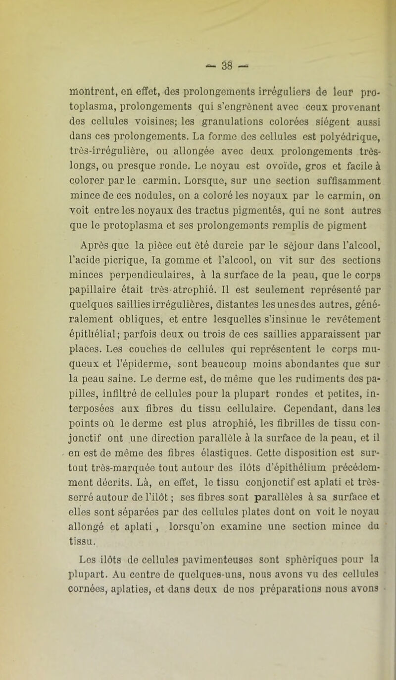 montrent, en effet, des prolongements irréguliers de leur pro- toplasraa, prolongements qui s’engrènent avec ceux provenant des cellules voisines; les granulations colorées siègent aussi dans ces prolongements. La forme des cellules est polyédrique, très-irrégulière, ou allongée avec deux prolongements très- longs, ou presque ronde. Le noyau est ovoïde, gros et facile à colorer par le carmin. Lorsque, sur une section suffisamment mince de ces nodules, on a coloré les noyaux par le carmin, on voit entre les noyaux des tractus pigmentés, qui ne sont autres que le protoplasma et ses prolongemonts remplis de pigment Après que la pièce eut été durcie par le séjour dans l’alcool, l’acide picrique, la gomme et l’alcool, on vit sur des sections minces perpendiculaires, à la surface de la peau, que le corps papillaire était très-atrophié. Il est seulement représenté par quelques saillies irrégulières, distantes les unes des autres, géné- ralement obliques, et entre lesquelles s’insinue le revêtement épithélial; parfois deux ou trois de ces saillies apparaissent par places. Les couches de cellules qui représentent le corps mu- queux et l’épiderme, sont beaucoup moins abondantes que sur la peau saine. Le derme est, de même que les rudiments des pa- pilles, infiltré de cellules pour la plupart rondes et petites, in- terposées aux fibres du tissu cellulaire. Cependant, dans les points où le derme est plus atrophié, les fibrilles de tissu con- jonctif ont une direction parallèle à la surface de la peau, et il en est de même des fibres élastiques. Cette disposition est sur- tout très-marquée tout autour des ilôts d’épithélium précédem- ment décrits. Là, en effet, le tissu conjonctif est aplati et très- serré autour de l’ilôt ; ses fibres sont parallèles à sa surface et elles sont séparées par des cellules plates dont on voit le noyau allongé et aplati , lorsqu’on examine une section mince du tissu. Les ilôts de cellules pavimenteuses sont sphériques pour la plupart. Au centre de quelques-uns, nous avons vu des cellules cornées, aplaties, et dans deux do nos préparations nous avons