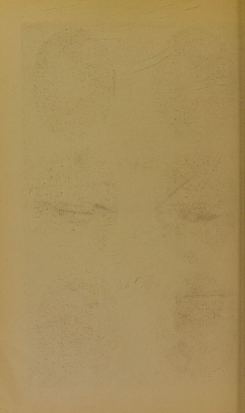 rr * U \ r.r t ; » > J* ‘,5 * s V ’ ■« j» ^ V / I l ^ ' J . 1^1 ■ 'i