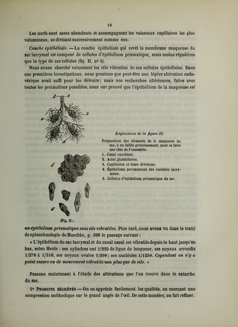 Les nerfs sont assez abondants et accompagnent les vaisseaux capillaires les plus volumineux, se divisant successivement comme eux. Couche épithéliale. — La couche épithéliale qui revêt la membrane muqueuse du sac lacrymal est composé de cellules d’épithélium prismatique, mais moins régulières que le type de ces cellules (fig. II, n° 5). Nous avons cherché vainement les cils vibratiles de ces cellules épithéliales. Dans nos premières investigations, nous pensions que peut-être une légère altération cada- vérique avait suffi pour les détruire; mais nos recherches ultérieures, faites avec toutes les précautions possibles, nous ont prouvé que l’épithélium de la muqueuse est (Fig. II.) Explication de la figure IL Préparation des éléments de la muqueuse du sac, à un faible grossissement, pour se faire une idée de l’ensemble. 1. Canal excréteur. 2. Acini glandulaires. 3. Capillaires et leurs divisions. 4. Épithélium pavimenteux des conduits lacry- maux. 5. Cellules d’épithélium prismatique du sac. un épithélium prismatique sans cils vibratiles. Plus tard, nous avons vu dans le traité de splanchnologie deHuschke, p. 598 le passage suivant : « L’épithélium du sac lacrymal et du canal nasal est vibratile depuis le haut jusqu’en bas, selon Henle : ses cylindres ont 1/225 de ligne de longueur, ses noyaux arrondis 1/370 à 1/310, ses noyaux ovales 1/200; ses nucléoles 1/1250. Cependant on n'y a point encore vu de mouvement vibratile non plus que de cils. » Passons maintenant à l’étude des altérations que l’on trouve dans le catarrhe du sac. 1° Produits sécrétés — On en apprécie facilement les qualités, en exerçant une compression méthodique sur le grand angle de l’œil. De cette manière, on fait refluer,