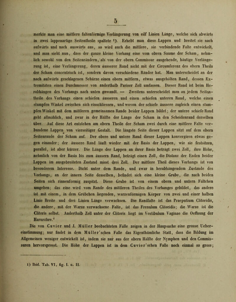 merkte man eine mittlere faltenförmige Verlängerung von eilf Linien Länge, welche sich abwärts in zwei lappenartige Seitentheile spaltete i). Erhebt man diese Lappen und breitet sie nach aufwärts und nach auswärts aus, so wird auch die mittlere, sie verbindende Falte entwickelt, und man sieht nun, dass der ganze kleine Vorhang eine vom obern Saume der Scham, nehm- lich sowohl von den Seitenrändern,'als von der obern Commissur ausgehende, häutige Verlänge- rung ist, eine Verlängerung, deren äusserer Rand nicht mit der Circumferenz des obern Theils der Scham concentrisch ist, sondern davon verschiedene Ränder hat. Man unterscheidet an der nach aufwärts geschlagenen Schürze einen obern mittlern, etwas ausgehölten Rand, dessen Ex- tremitäten einen Durchmesser von anderthalb Pariser Zoll umfassen. Dieser Rand ist beim Ile- rabhängen des Vorhangs nach unten gewandt. — Zweitens unterscheidet man an jedem Seiten- theile des Vorhangs einen schiefen äusseren und einen schiefen unteren Rand, welche einen stumpfen Winkel zwischen sich einschliessen, und wovon der schiefe äussere zugleich einen stum- pfen Winkel mit dem mittleren gemeinsamen Rande beider Lappen bildet; der untere schiefe Rand geht allmählich, und zwar in der Hälfte der Länge der Scham in den Scheidenrand derselben über. Auf diese Art entstehen am obern Theile der Scham zwei durch eine mittlere Falte ver- bundene Lappen von vierseitiger Gestalt. Die längste Seite dieser Lappen sitzt auf dem obern Seitenrande der Scham auf. Der obere und untere Rand dieser Lappen konvergiren etwas ge- gen einander; der äussere Rand läuft wieder mit der Basis der Lappen, wie sie festsitzen, parallel, ist aber kürzer. Die Länge der Lappen an ihrer Basis beträgt zwei Zoll, ihre Höhe, nehmlich von der Basis bis zum äussern Rand, beträgt einen Zoll, die Distanz der Enden beider Lappen im ausgebreiteten Zustand misst drei Zoll. Der mittlere Theil dieses Vorhangs ist von besonderem Interesse. Dicht unter dem Rande, und zwar in herabhängendem Zustande des Vorhangs, an der innern Seite desselben, befindet sich eine kleine Grube, die nach beiden Seiten sich rinnenförmig zuspitzt. Diese Grube ist von einem obern und untern Fältchen umgeben; das eine wird vom Rande des mittleren Theiles des Vorhanges gebildet, das andere ist mit einem, in dem Grübchen liegenden, warzenförmigen Körper von zwei und einer halben Linie Breite und drei Linien Länge verwachsen. Die Randfalte ist das Praeputium Clitoridis, die andere, mit der Warze verwachsene Falte, ist das Frenulum Clitoridis; die Warze ist die Clitoris selbst. Anderthalb Zoll unter der Clitoris liegt im Vestibulum Vaginae die Oeflhung der Harnröhre.“ Die von Cu vier und J. Müller beobachteten Fälle zeigen in der Haupsache eine grosse Ueber- einstimmung; nur findet in dem Müller’schen Falle das Eigenthümliche Statt, dass die Bildung im Allgemeinen weniger entwickelt ist, indem sie nur aus der obern Hälfte der Nymphen und den Commis- suren henorsprosst. Die Höhe der Lappen ist in dem Cuvier'sehen Falle noch einmal so gross;