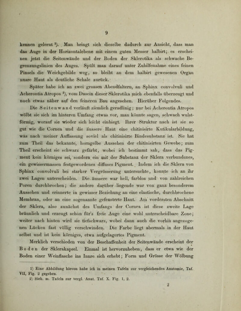 kennen gelernt ^). , Man bringt sich dieselbe dadurch zur Ansicht, dass man das Auge in der Horizontalebene mit einem guten Messer halbirt; es erschei- nen jetzt die Seitenwände und der Boden der Skierotika als schwache Be- grenzungslinien des Auges. Spült man darauf unter Zuhilfenahme eines feinen Pinsels die Weichgebilde weg, so bleibt an dem halbirt gewesenen Organ unsre Haut als deutliche Schale zurück.- ^ Später habe ich an zwei grossen Abendfaltern, an Sphinx convolvuli und Acherontia Atropos ^), vom Dasein dieser Skierotika mich ebenfalls übei’zeugt und noch etwas näher auf den feineren Bau angesehen. Hierüber Folgendes. Die Seiten wand verläuft ziemlich geradlinig; nur bei Acherontia Atropos wölbt sie sich im hinteren Umfang etwas vor, man könnte sagen, schwach wulst- förmig, worauf sie wieder sich leicht einbiegt. Ihrer Struktur nach ist sie so gut wie die Cornea und die äussere Haüt eine chitinisirte Kutikularbildung, was nach meiner Auffassung soviel als chitinisirte Bindesubstanz' ist. Sie hat zum Theil das bekannte, horngelbe Aussehen der chitinisirten Gewebe; zum Theil erscheint sie schwarz gefärbt, wobei ich bestimmt sah, dass das Pig- ment kein körniges sei, sondern, ein mit der Substanz der Sklera verbundenes, ein gewissermassen festgewordenes diffuses Pigment. _ Indem ich die Sklera von Sphinx convolvuli bei starker Vergrösserüng untersuchte, konnte ich an ihr zwei Lagen unterscheiden. Die. äussere war hell, farblos .und von zahlreichen Poren durchbrochen; die andere darüber-liegende war von ganz besonderem Aussehen und erinnerte in gewisser Beziehung an eine elastische, durchbrochene Membran, oder an eine sogenannte gefensterte Haut. Am' vordersten Abschnitt der Sklera, also zunächst des Umfangs der Cornea ist diese zweite Lage bräunlich und erzeugt schön für’s freie Auge eine wohl unterscheidbare Zone; weiter nach hinten wird sie tiefschwarz, wobei dann auch die vorhin angezoge- nen Lücken fast völlig verschwinden. Die Farbe liegt abermals in der Haut selbst und ist kein körniges, etwa aufgelagertes Pigment. . . Merklich verschieden von der Beschaffenheit der Seitenwände erscheint der Boden der Sklerakapsel. Einmal ist hervorzuheben, dass er etwa wie der Boden einer Weinflasche ins Innre sich erhebt; Form und Grösse der Wölbung 1) Eine Abbildung hievon habe ich in meinen Tafeln zur vergleichenden Anatomie, Taf. VII, Fig. 2 gegeben. . ‘ . 2) Sieh. m. Tafeln zur vergl. -Anat. Taf. X. Fig. 1, 2. 2