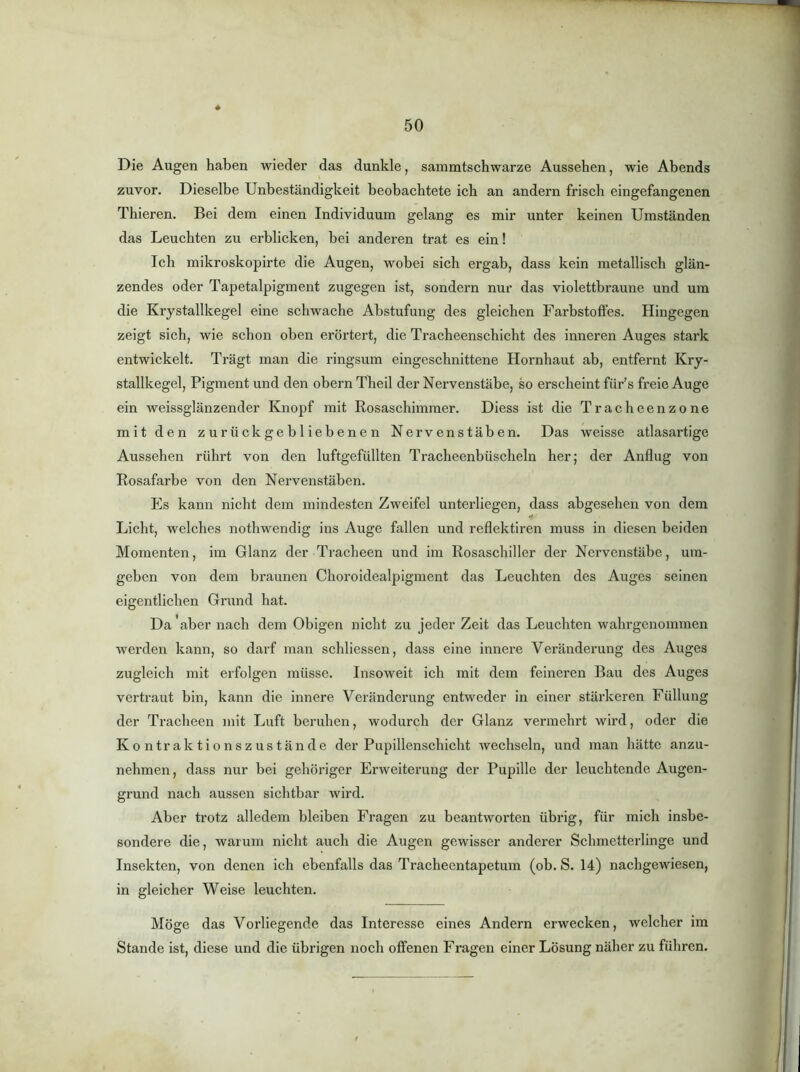 Die Augen haben wieder das dunkle, sammtschwarze Aussehen, wie Abends zuvor. Dieselbe Unbeständigkeit beobachtete ich an andern frisch eingefangenen Thieren. Bei dem einen Individuum gelang es mir unter keinen Umständen das Leuchten zu erblicken, bei anderen trat es ein! Ich mikroskopirte die Augen, wobei sich ergab, dass kein metallisch glän- zendes oder Tapetalpigment zugegen ist, sondern nur das violettbraune und um die Krystallkegel eine schwache Abstufung des gleichen Farbstoffes. Hingegen zeigt sich, wie schon oben erörtert, die Tracheenschicht des inneren Auges stark entwickelt. Trägt man die ringsum eingeschnittene Hornhaut ab, entfernt Krj- stallkegel, Pigment und den obern Theil der Nervenstäbe, so erscheint für’s freie Auge ein weissglänzender Knopf mit Rosaschimmer. Diess ist die Tracheenzone mit den zurückgebliebenen Nervenstäben. Das weisse atlasartige Aussehen rührt von den luftgefüllten Tracheenbüscheln her; der Anflug von Rosafarbe von den Nervenstäben. Es kann nicht dem mindesten Zweifel untei'liegen, dass abgesehen von dem Licht, welches nothwendig ins Auge fallen und reflektiren muss in diesen beiden Momenten, im Glanz der Tracheen und im Rosaschiller der Nervenstäbe, um- geben von dem braunen Choroidealpigment das Leuchten des Auges seinen eigentlichen Grund hat. Da'aber nach dem Obigen nicht zu jeder Zeit das Leuchten wahrgenommen werden kann, so darf man schliessen, dass eine innere Veränderung des Auges zugleich mit erfolgen müsse. Insoweit ich mit dem feineren Bau des Auges vertraut bin, kann die innere Veränderung entweder in einer stärkeren Füllung der Tracheen mit Luft beruhen, wodurch der Glanz vermehrt wird, oder die Kontraktionszustände der Pupillenschicht wechseln, und man hätte anzu- nehmen, dass nur bei gehöriger Erweiterung der Pupille der leuchtende Augen- grund nach aussen sichtbar wird. Aber trotz alledem bleiben Fragen zu beantworten übrig, für mich insbe- sondere die, warum nicht auch die Augen gewisser anderer Schmetterlinge und Insekten, von denen ich ebenfalls das Tracheentapetum (ob. S. 14) nachgewiesen, in gleicher Weise leuchten. Möge das Vorliegende das Interesse eines Andern erwecken, welcher im Stande ist, diese und die übrigen noch offenen Fragen einer Lösung näher zu führen.