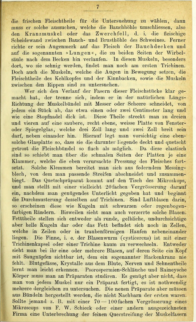 die frischen Fleischtheile für die Untersuehung zu wählen, dann muss er solche aussuchen, welche die Bauchhöhle umschliessen, also den Kranzmuskel oder das Zwerchfell, d. i. die fleischige Scheidewand zwischen Bauch- und Brusthöhle des Schweines. Ferner richte er sein Augenmerk auf das Fleisch der Bauchdecken und auf die sogenannten »Lungen«, die zu beiden Seiten der Wirbel- säule nach dem Becken hin verlaufen. In diesen Muskeln, besonders dort, wo sie sehnig werden, findet man noch am ersten Trichinen. Doch auch die Muskeln, welche die Augen in Bewegung setzen, die Fleischtheile des Kehlkopfes und der Kinnbacken, sowie die Muskeln zwischen den Rippen sind zu untersuchen. Wer sich den Verlauf der Fasern dieser Fleischstücke klar ge- macht hat, der trenne sich, indem er in der natürlichen Längs- Richtung der Muskelbündel mit Messer oder Scheere schneidet, von jedem ein Stück ab, das etwa einen oder zwei Centimeter lang und wie eine Stopfnadel dick ist. Diese Theile streckt man zu dreien und vieren auf eine saubere, recht ebene, weisse Platte von Fenster- oder Spiegelglas, welche drei Zoll lang und zwei Zoll breit sein darf, neben einander hin. Hierauf legt man vorsichtig eine eben- solche Glasplatte so, dass sie die darunter liegende deckt und quetscht getrost die Fleischbündel so flach als möglich. Da diese elastisch sind so schiebt man über die schmalen Seiten der Platten je eine Klammer, welche die eben verursachte Pressung des Fleisches fort- setzt. Solche Klemmen bereitet man sich aus federndem Messing- blech, von dem man passende Streifen abschneidet und zusammen- biegt. Das Quetschpräparat kommt auf den Tisch des Mikroskops, und man stellt mit einer vielleicht 20 fachen Vergrösserung darauf ein, nachdem man genügendes Unterlicht gegeben hat und beginnt die Durchmusterung desselben auf Trichinen. Sind Luftblasen darin, so erscheinen diese wie Kugeln mit schwarzen oder regenbogen- farbigen Rändern. Bisweilen sieht man auch verzerrte solche Blasen. Fetttheile stellen sich entweder als runde, gelbliche, undurchsichtige aber helle Kugeln dar oder das Fett befindet sich noch in Zellen, welche in Zeilen oder in traubenförmigen Haufen nebeneinander liegen. Die Finne, i. e. der Blasenwurm (cysticercus) ist mit einer Trichinenkapsel oder einer Trichine kaum zu verwechseln. Entweder sieht man bei ihr eine oder mehrere Blasen, auf deren Seite ein Kopf mit Saugnäpfen sichtbar ist, dem ein sogenannter Hackenkranz nie fehlt. Blutgefässe, Krystalle aus dem Blute, Nerven und Sehnentheile lernt man leicht erkennen. Psorospermien-Schläuche und Raineysche Körper muss man an Präparaten studiren. Es genügt aber nicht, dass man von jedem Muskel nur ein Präparat fertigt, es ist nothwendig mehrere dergleichen zu untersuchen. Die neuen Präparate aber müssen aus Bündeln hergestellt werden, die nicht Nachbarn der ersten waren. Sollte jemand z. B. mit einer 70— 100 fachen Vergrösserung eines Mikroscops von F. W. Schieck oder einer andern ausgezeichneten Firma eine Unterbrechung der feinen Querstreifung der Muskelfasern