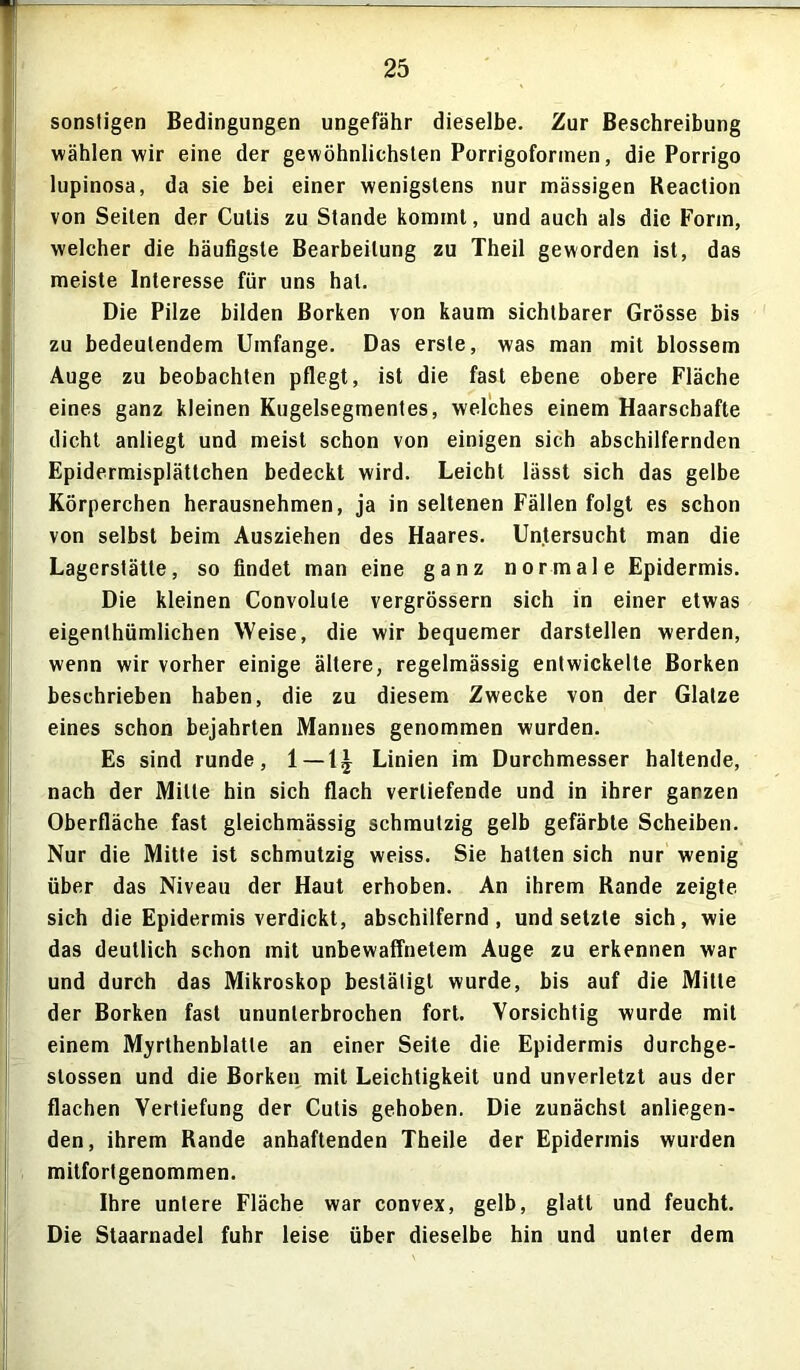 sonstigen Bedingungen ungefähr dieselbe. Zur Beschreibung wählen wir eine der gewöhnlichsten Porrigoformen, die Porrigo lupinosa, da sie bei einer wenigstens nur mässigen Reaction von Seiten der Cutis zu Stande kommt, und auch als die Form, welcher die häufigste Bearbeitung zu Theil geworden ist, das meiste Interesse für uns hat. Die Pilze bilden Borken von kaum sichtbarer Grösse bis zu bedeutendem Umfange. Das erste, was man mit blossem Auge zu beobachten pflegt, ist die fast ebene obere Fläche eines ganz kleinen Kugelsegmentes, welches einem Haarschafte dicht anliegt und meist schon von einigen sich abschilfernden Epidermisplättchen bedeckt wird. Leicht lässt sich das gelbe Körperchen herausnehmen, ja in seltenen Fällen folgt es schon von selbst beim Ausziehen des Haares. Untersucht man die Lagerstätte, so findet man eine ganz normale Epidermis. Die kleinen Convolule vergrössern sich in einer etwas eigentümlichen Weise, die wir bequemer darstellen werden, wenn wir vorher einige ältere, regelmässig entwickelte Borken beschrieben haben, die zu diesem Zwecke von der Glatze eines schon bejahrten Mannes genommen wurden. Es sind runde, 1 —Linien im Durchmesser haltende, nach der Milte hin sich flach vertiefende und in ihrer ganzen Oberfläche fast gleichmässig schmutzig gelb gefärbte Scheiben. Nur die Mitte ist schmutzig weiss. Sie halten sich nur wenig über das Niveau der Haut erhoben. An ihrem Rande zeigte sich die Epidermis verdickt, abschilfernd, und setzte sich, wie das deutlich schon mit unbewaffnetem Auge zu erkennen war und durch das Mikroskop bestätigt wurde, bis auf die Mitte der Borken fast ununterbrochen fort. Vorsichtig wurde mit einem Myrthenblatle an einer Seite die Epidermis durchge- stossen und die Borken mit Leichtigkeit und unverletzt aus der flachen Vertiefung der Cutis gehoben. Die zunächst anliegen- den, ihrem Rande anhaftenden Theile der Epidermis wurden mitfortgenommen. Ihre untere Fläche war convex, gelb, glatt und feucht. Die Staarnadel fuhr leise über dieselbe hin und unter dem