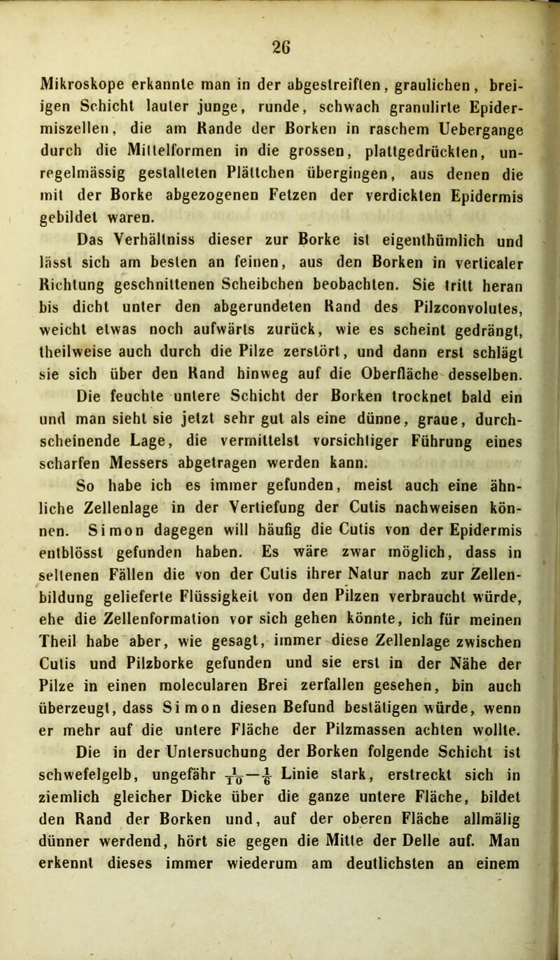 Mikroskope erkannte man in der abgestreiflen, graulichen, brei- igen Schicht lauter junge, runde, schwach granulirte Epider- miszellen, die am Rande der Borken in raschem Uebergange durch die Mittelformen in die grossen, plattgedrückten, un- regelmässig gestalteten Plättchen übergingen, aus denen die mit der Borke abgezogenen Fetzen der verdickten Epidermis gebildet waren. Das Verhällniss dieser zur Borke ist eigenthümlich und lässt sich am besten an feinen, aus den Borken in verticaler Richtung geschnittenen Scheibchen beobachten. Sie tritt heran bis dicht unter den abgerundeten Rand des Pilzconvolutes, weicht etwas noch aufwärts zurück, wie es scheint gedrängt, theilweise auch durch die Pilze zerstört, und dann erst schlägt sie sich über den Rand hinweg auf die Oberfläche desselben. Die feuchte untere Schicht der Borken trocknet bald ein und man sieht sie jetzt sehr gut als eine dünne, graue, durch- scheinende Lage, die vermittelst vorsichtiger Führung eines scharfen Messers abgetragen werden kann. So habe ich es immer gefunden, meist auch eine ähn- liche Zellenlage in der Vertiefung der Cutis nachweisen kön- nen. Simon dagegen will häufig die Cutis von der Epidermis entblösst gefunden haben. Es wäre zwar möglich, dass in seltenen Fällen die von der Cutis ihrer Natur nach zur Zellen- bildung gelieferte Flüssigkeit von den Pilzen verbraucht würde, ehe die Zellenformation vor sich gehen könnte, ich für meinen Theil habe aber, wie gesagt, immer diese Zellenlage zwischen Cutis und Pilzborke gefunden und sie erst in der Nähe der Pilze in einen molecularen Brei zerfallen gesehen, bin auch überzeugt, dass Simon diesen Befund bestätigen würde, wenn er mehr auf die untere Fläche der Pilzmassen achten wollte. Die in der Untersuchung der Borken folgende Schicht ist schwefelgelb, ungefähr xV-¥ Linie stark, erstreckt sich in ziemlich gleicher Dicke über die ganze untere Fläche, bildet den Rand der Borken und, auf der oberen Fläche allmälig dünner werdend, hört sie gegen die Mitte der Delle auf. Man erkennt dieses immer wiederum am deutlichsten an einem