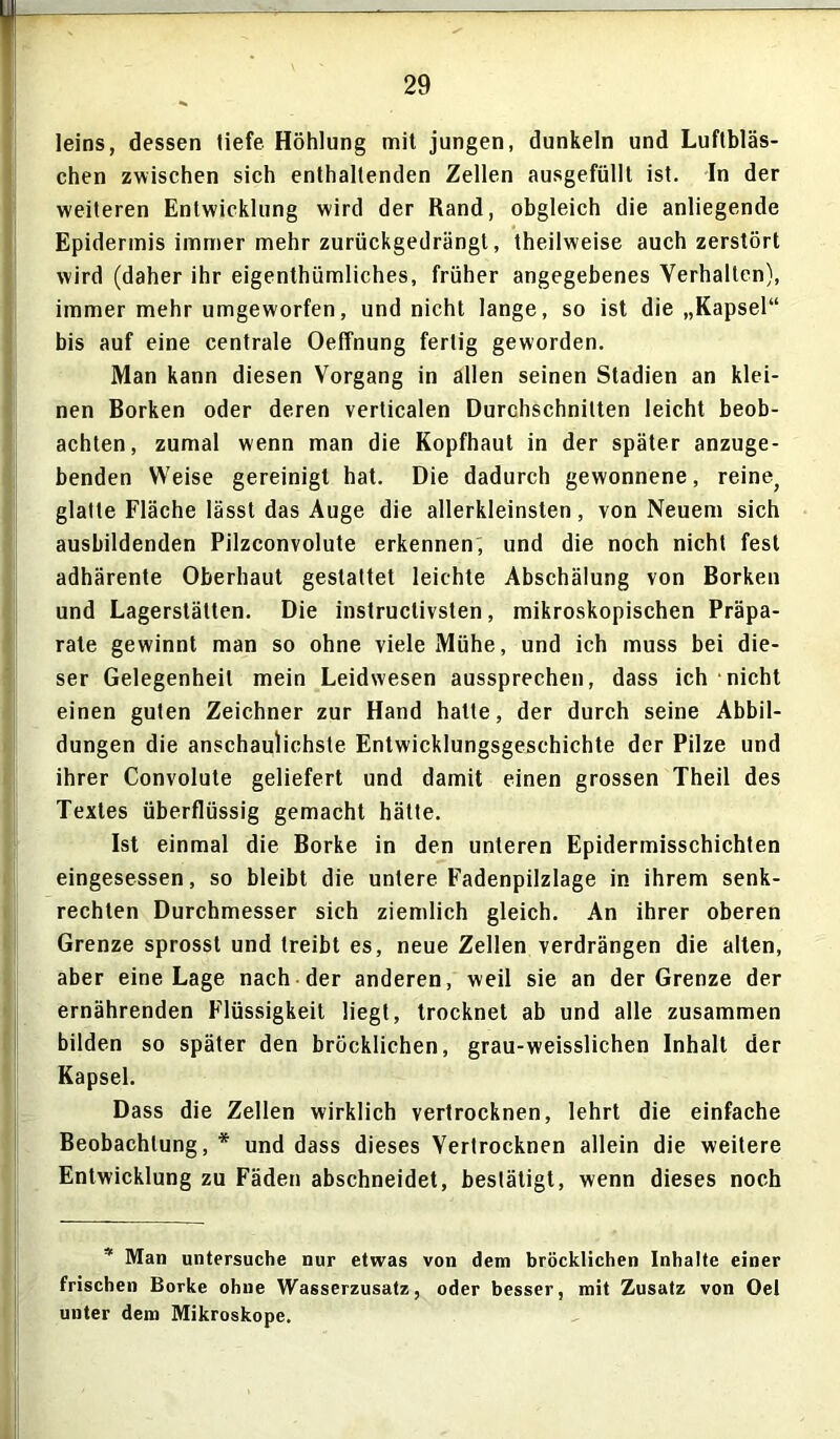 leins, dessen tiefe Höhlung mit jungen, dunkeln und Luftbläs- chen zwischen sich enthaltenden Zellen ausgefüllt ist. In der weiteren Entwicklung wird der Rand, obgleich die anliegende Epidermis immer mehr zurückgedrängt, theilweise auch zerstört wird (daher ihr eigenthümliches, früher angegebenes Yerhalten), immer mehr umgeworfen, und nicht lange, so ist die „Kapsel“ bis auf eine centrale Oeffnung fertig geworden. Man kann diesen Vorgang in allen seinen Stadien an klei- nen Borken oder deren verticalen Durchschnitten leicht beob- achten, zumal wenn man die Kopfhaut in der später anzuge- benden Weise gereinigt hat. Die dadurch gewonnene, reine, glatte Fläche lässt das Auge die allerkleinsten, von Neuem sich ausbildenden Pilzconvolute erkennen, und die noch nicht fest adhärente Oberhaut gestattet leichte Abschälung von Borken und Lagerstätten. Die instructivsten, mikroskopischen Präpa- rate gewinnt man so ohne viele Mühe, und ich muss bei die- ser Gelegenheit mein Leidwesen aussprechen, dass ich nicht einen guten Zeichner zur Hand hatte, der durch seine Abbil- dungen die anschaulichste Entwicklungsgeschichte der Pilze und ihrer Convolute geliefert und damit einen grossen Theil des Textes überflüssig gemacht hätte. Ist einmal die Borke in den unteren Epidermisschichten eingesessen, so bleibt die untere Fadenpilzlage in ihrem senk- rechten Durchmesser sich ziemlich gleich. An ihrer oberen Grenze sprosst und treibt es, neue Zellen verdrängen die alten, aber eine Lage nach der anderen, weil sie an der Grenze der ernährenden Flüssigkeit liegt, trocknet ab und alle zusammen bilden so später den bröcklichen, grau-weisslichen Inhalt der Kapsel. Dass die Zellen wirklich vertrocknen, lehrt die einfache Beobachtung, * und dass dieses Vertrocknen allein die weitere Entwicklung zu Fäden abschneidet, bestätigt, wenn dieses noch ■' Man untersuche nur etwas von dem bröcklichen Inhalte einer frischen Borke ohne Wasserzusatz, oder besser, mit Zusatz von Oel unter dem Mikroskope.