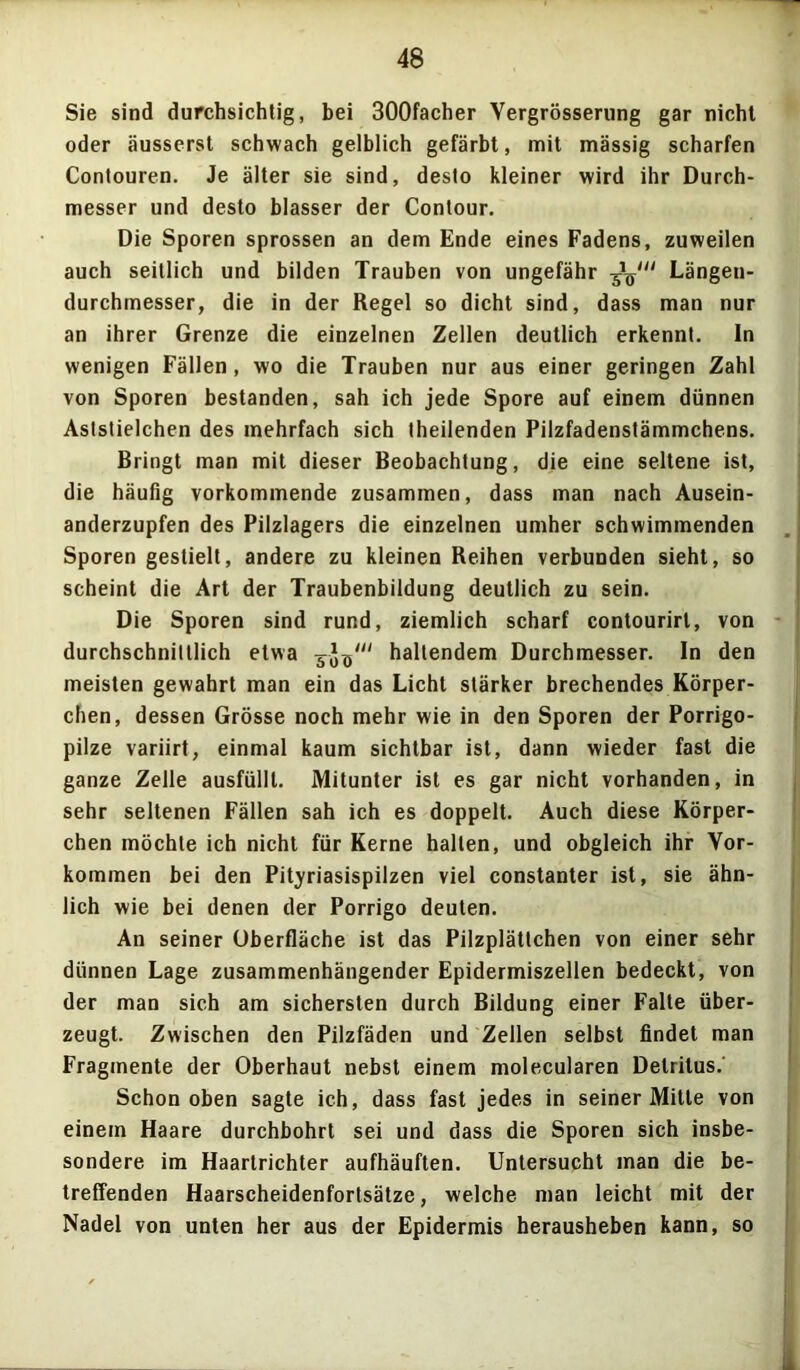 Sie sind durchsichtig, bei 300facher Vergrösserung gar nicht oder äusserst schwach gelblich gefärbt, mit massig scharfen Contouren. Je älter sie sind, desto kleiner wird ihr Durch- messer und desto blasser der Contour. Die Sporen sprossen an dem Ende eines Fadens, zuweilen auch seitlich und bilden Trauben von ungefähr ■gTSul Längen- durchmesser, die in der Regel so dicht sind, dass man nur an ihrer Grenze die einzelnen Zellen deutlich erkennt. In wenigen Fällen, wo die Trauben nur aus einer geringen Zahl von Sporen bestanden, sah ich jede Spore auf einem dünnen Aststielchen des mehrfach sich (heilenden Pilzfadenstämmchens. Bringt man mit dieser Beobachtung, die eine seltene ist, die häufig vorkommende zusammen, dass man nach Ausein- anderzupfen des Pilzlagers die einzelnen umher schwimmenden Sporen gestielt, andere zu kleinen Reihen verbunden sieht, so scheint die Art der Traubenbildung deutlich zu sein. Die Sporen sind rund, ziemlich scharf contourirt, von durchschnittlich etwa hallendem Durchmesser. In den meisten gewahrt man ein das Licht stärker brechendes Körper- chen, dessen Grösse noch mehr wie in den Sporen der Porrigo- pilze variirt, einmal kaum sichtbar ist, dann wieder fast die ganze Zelle ausfüllt. Mitunter ist es gar nicht vorhanden, in sehr seltenen Fällen sah ich es doppelt. Auch diese Körper- chen möchte ich nicht für Kerne halten, und obgleich ihr Vor- kommen bei den Pityriasispilzen viel constanter ist, sie ähn- lich wie bei denen der Porrigo deuten. An seiner Oberfläche ist das Pilzplättchen von einer sehr dünnen Lage zusammenhängender Epidermiszellen bedeckt, von der man sich am sichersten durch Bildung einer Falte über- zeugt. Zwischen den Pilzfäden und Zellen selbst findet man Fragmente der Oberhaut nebst einem molecularen Detritus.' Schon oben sagte ich, dass fast jedes in seiner Mitte von einem Haare durchbohrt sei und dass die Sporen sich insbe- sondere im Haartrichter aufhäuften. Untersucht man die be- treffenden Haarscheidenfortsätze, welche man leicht mit der Nadel von unten her aus der Epidermis herausheben kann, so